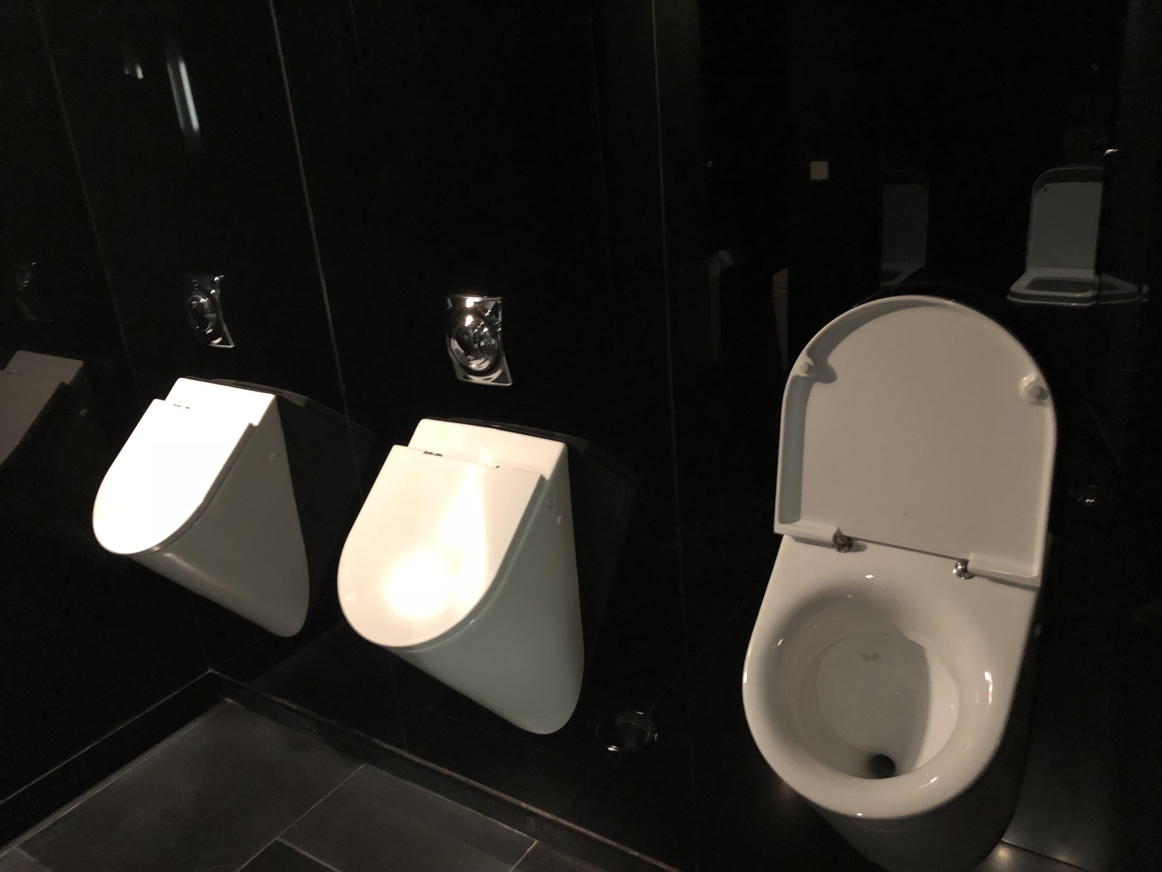 Urinals with lids? r/mildlyinteresting