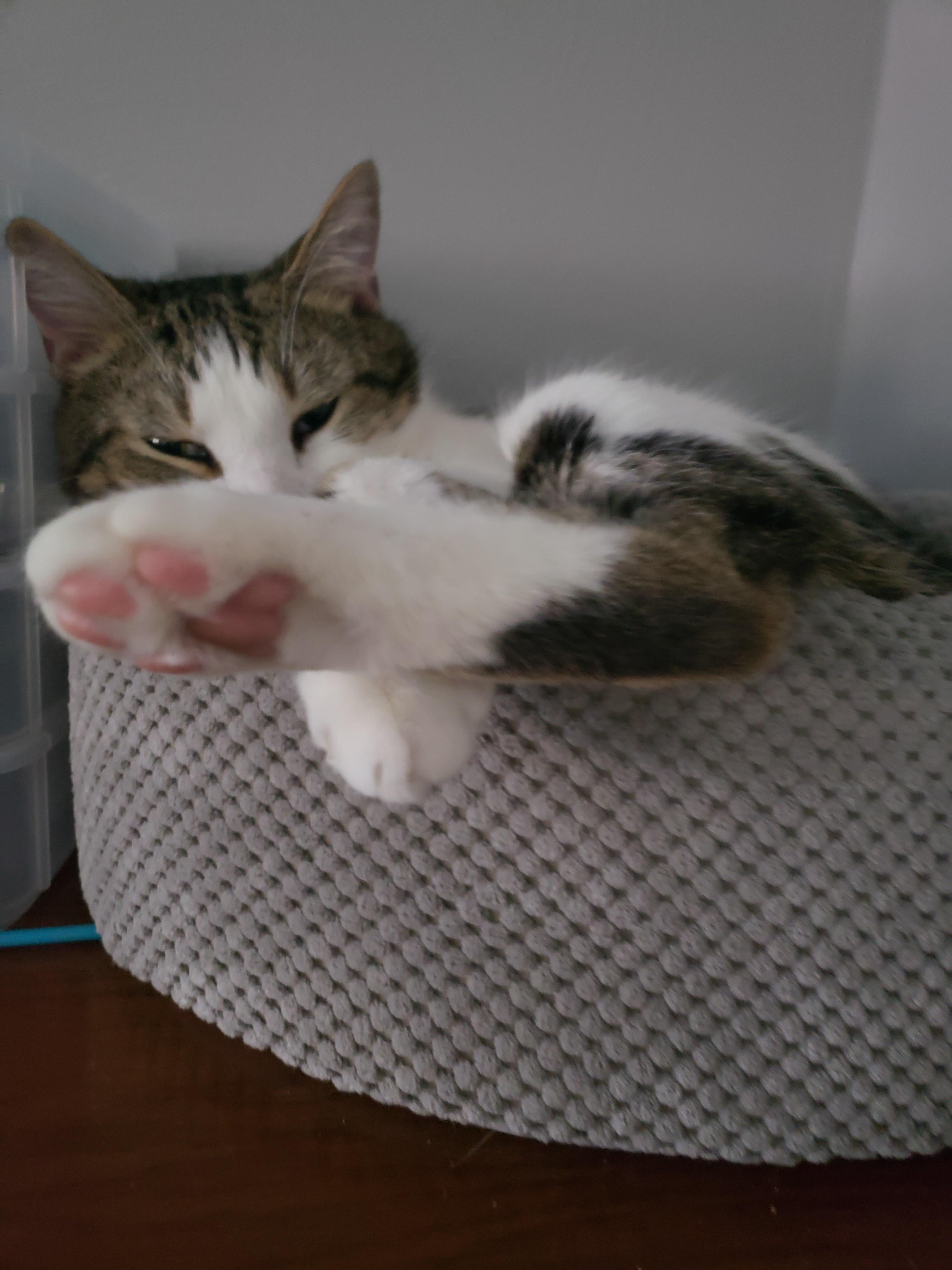 When the bed is too small for you, that's ok just stick the beanies