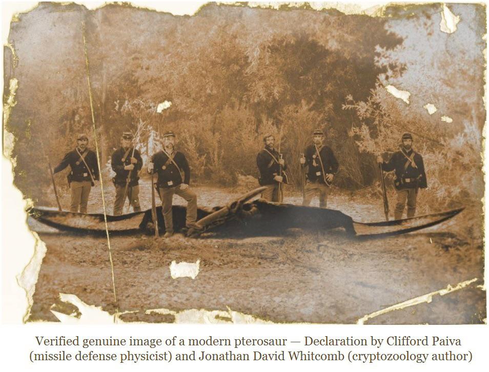 Pterodactyl Killing Asteroid