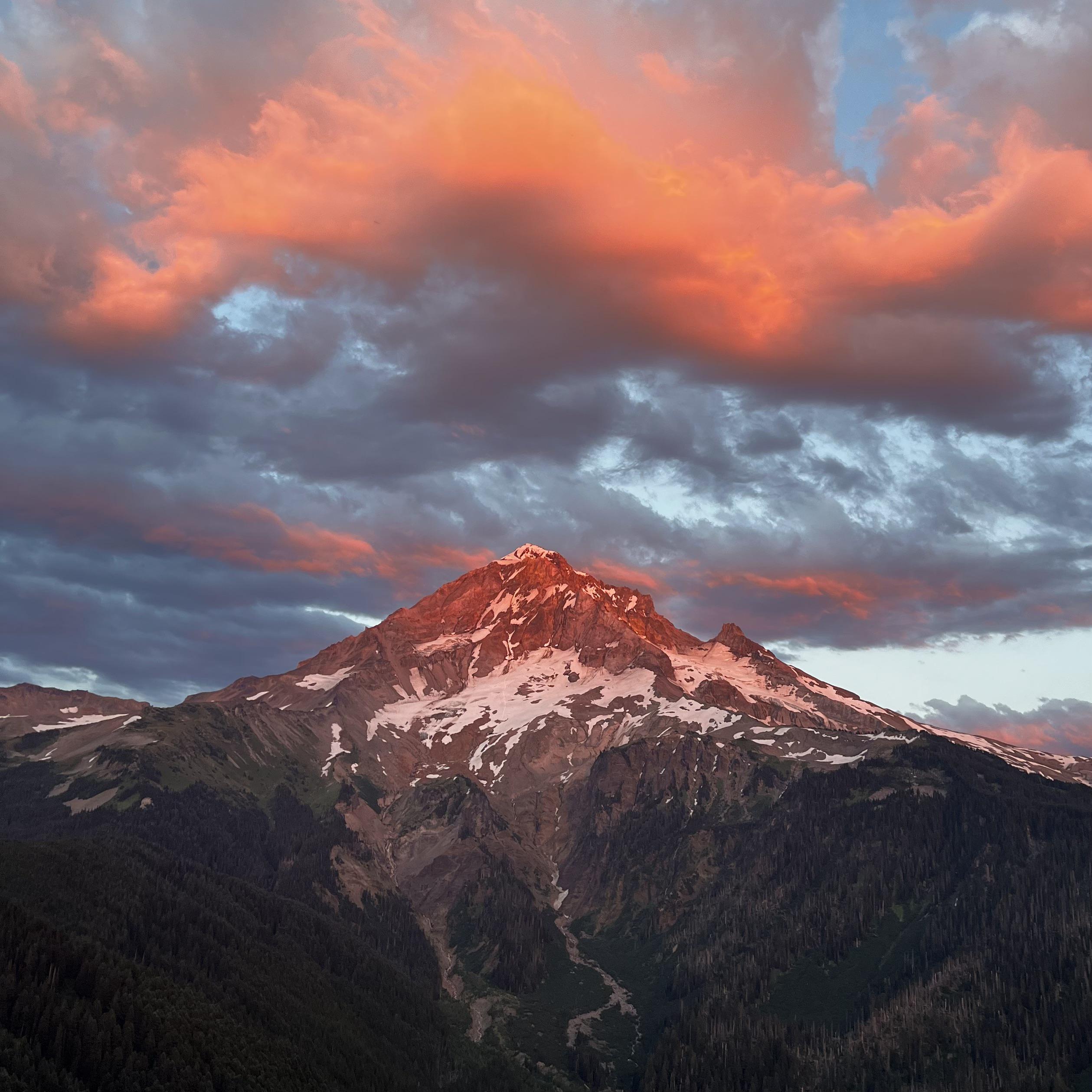 Mount Hood, Oregon. Golden hour, 9 August 2022. [2518×2518] Wallpaperable