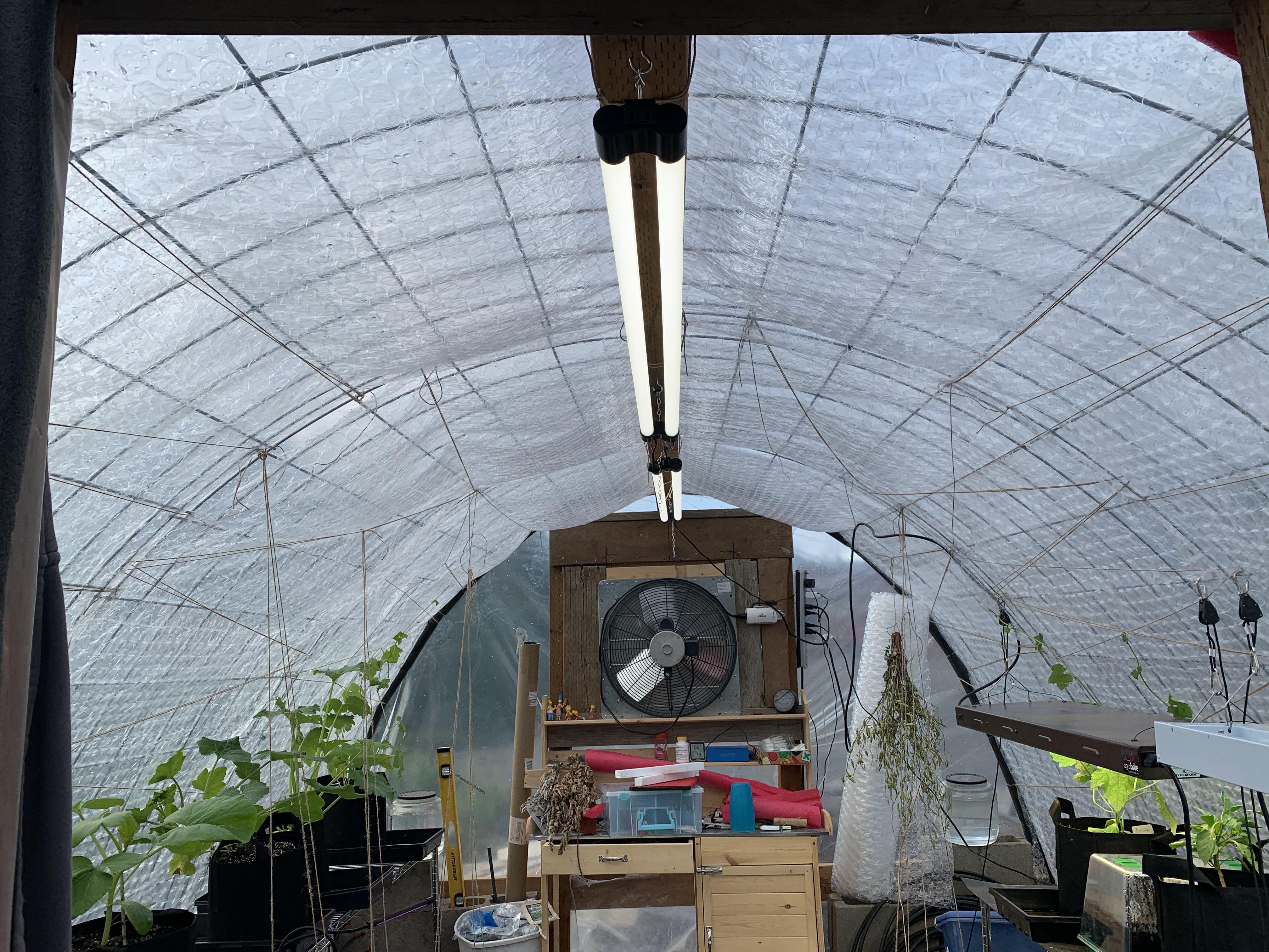 installed some bubble wrap insulation in my cattle panel greenhouse