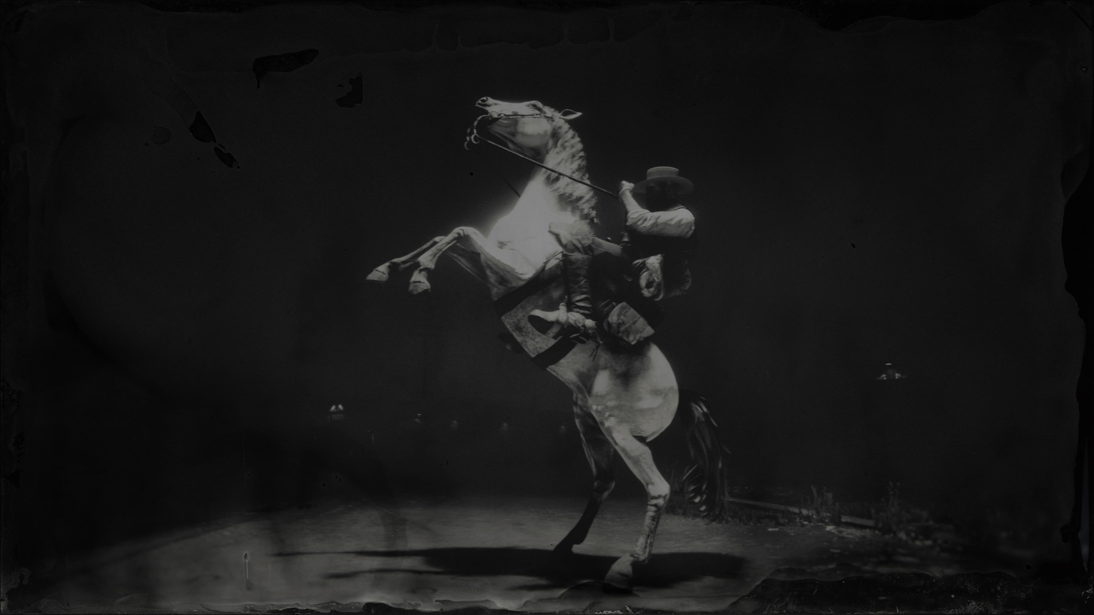 Under a lamp post, Saint Denis. Arthur and his White Arabian