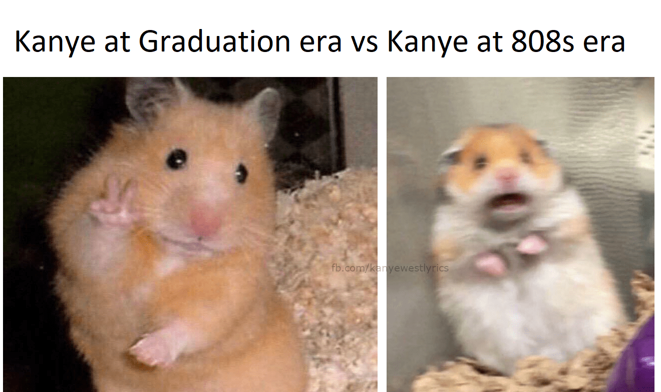 Gerbil gerbil gerbil gerbil gerbil r/meme