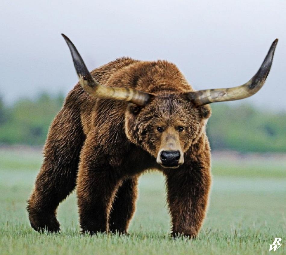 Longhorned brown bear r/HybridAnimals