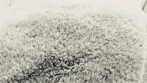 Towel drop : wivessecretselfies