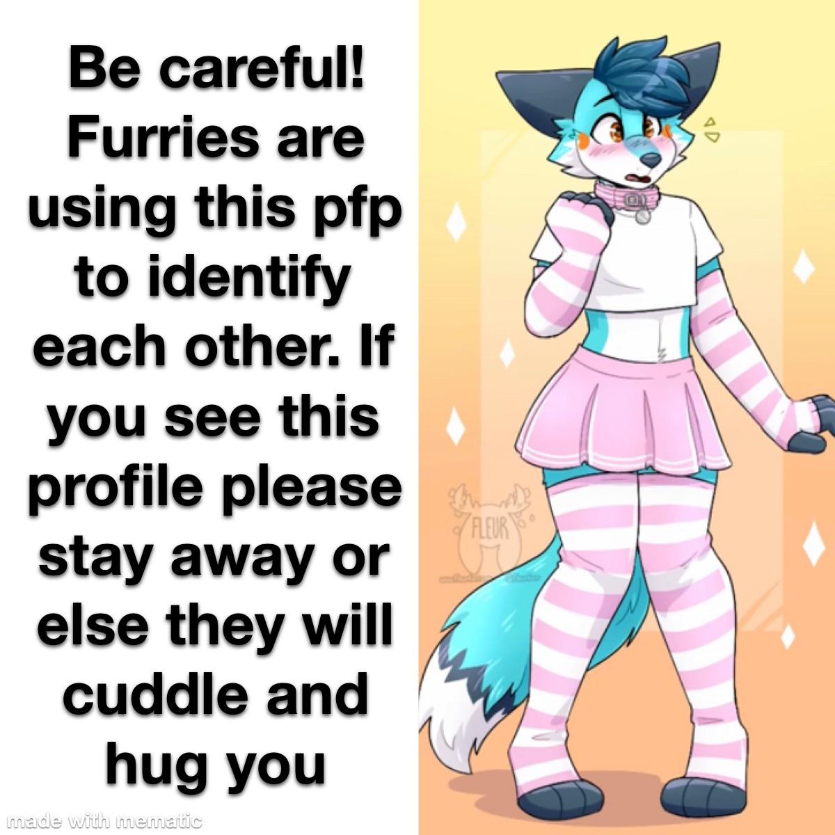 Furry_irl r/furry_irl