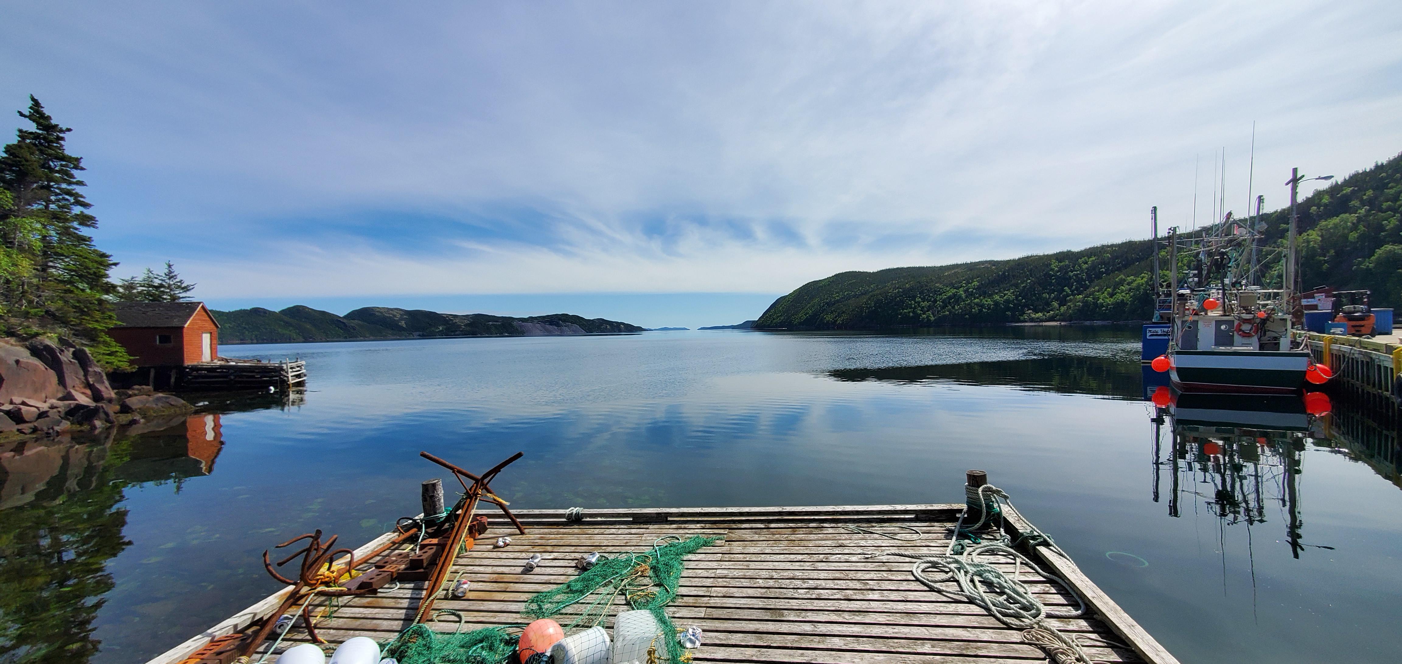 Random Island, what a view from the stage ;) r/newfoundland
