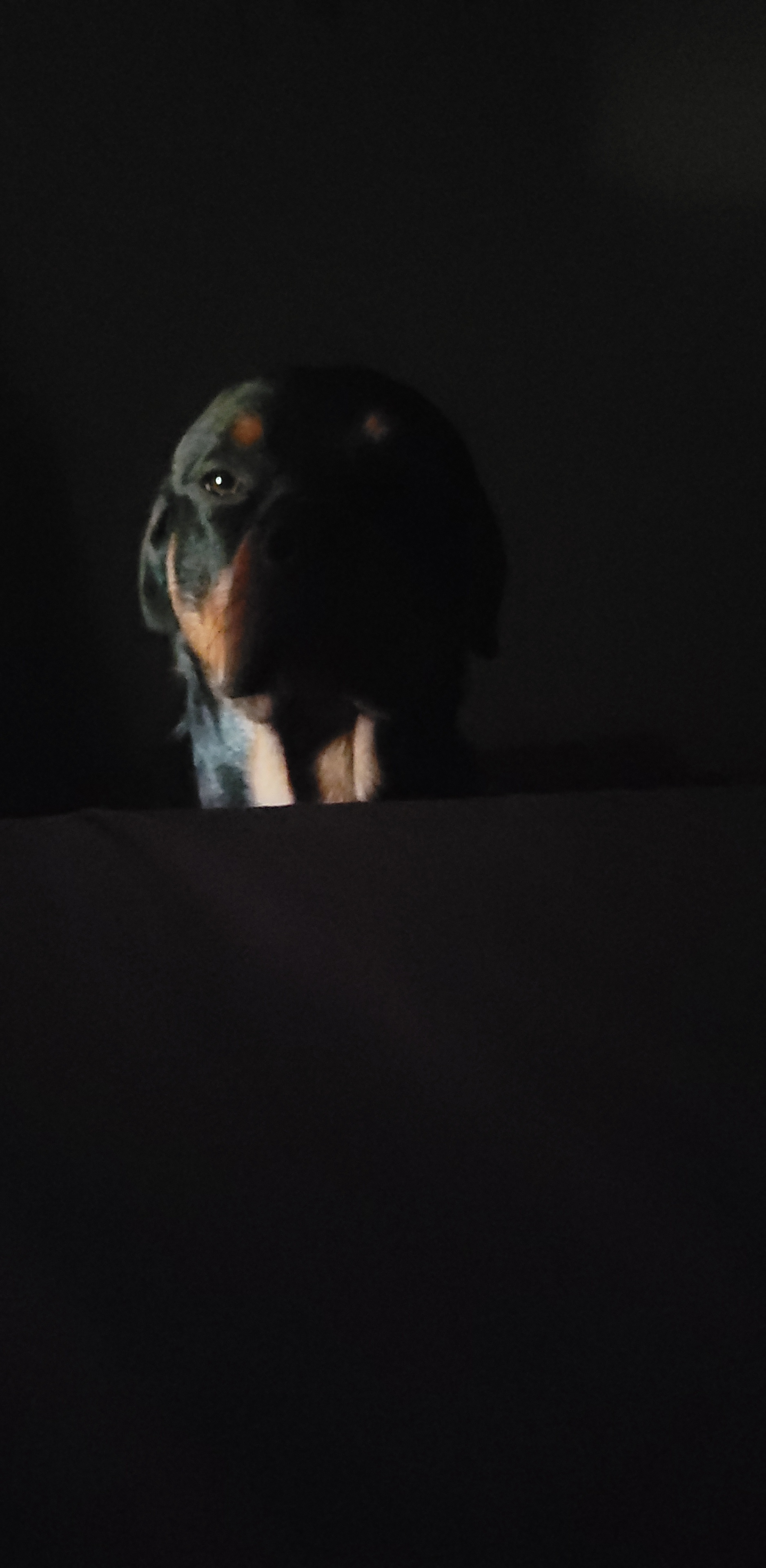 Larry stares me down until I feel his eyes boring into the back of my