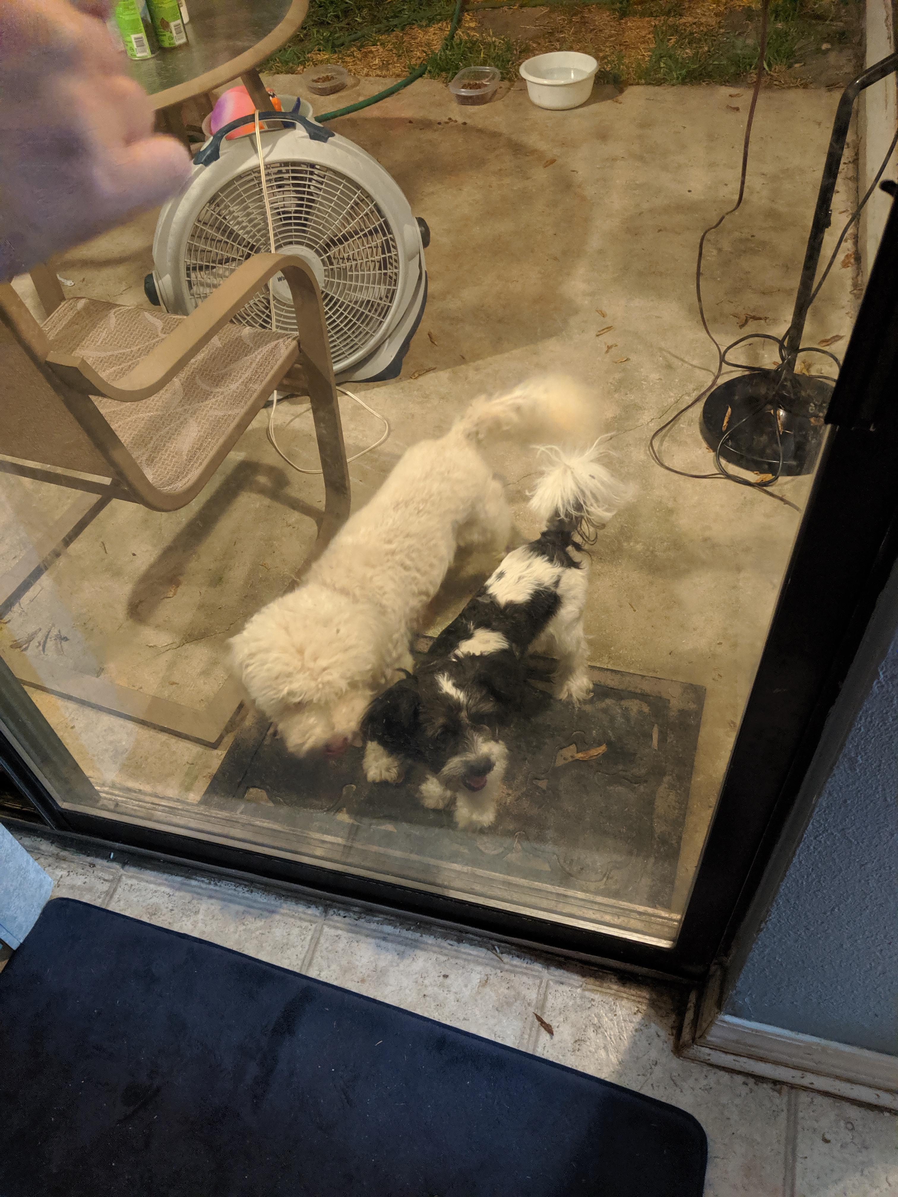 Found these two off Green mountain road near the warehouses. The white