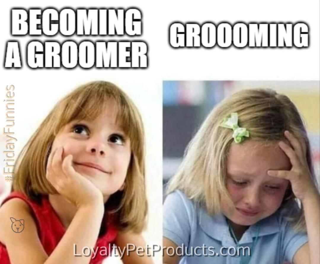 Oh you meant dog grooming r/HolUp