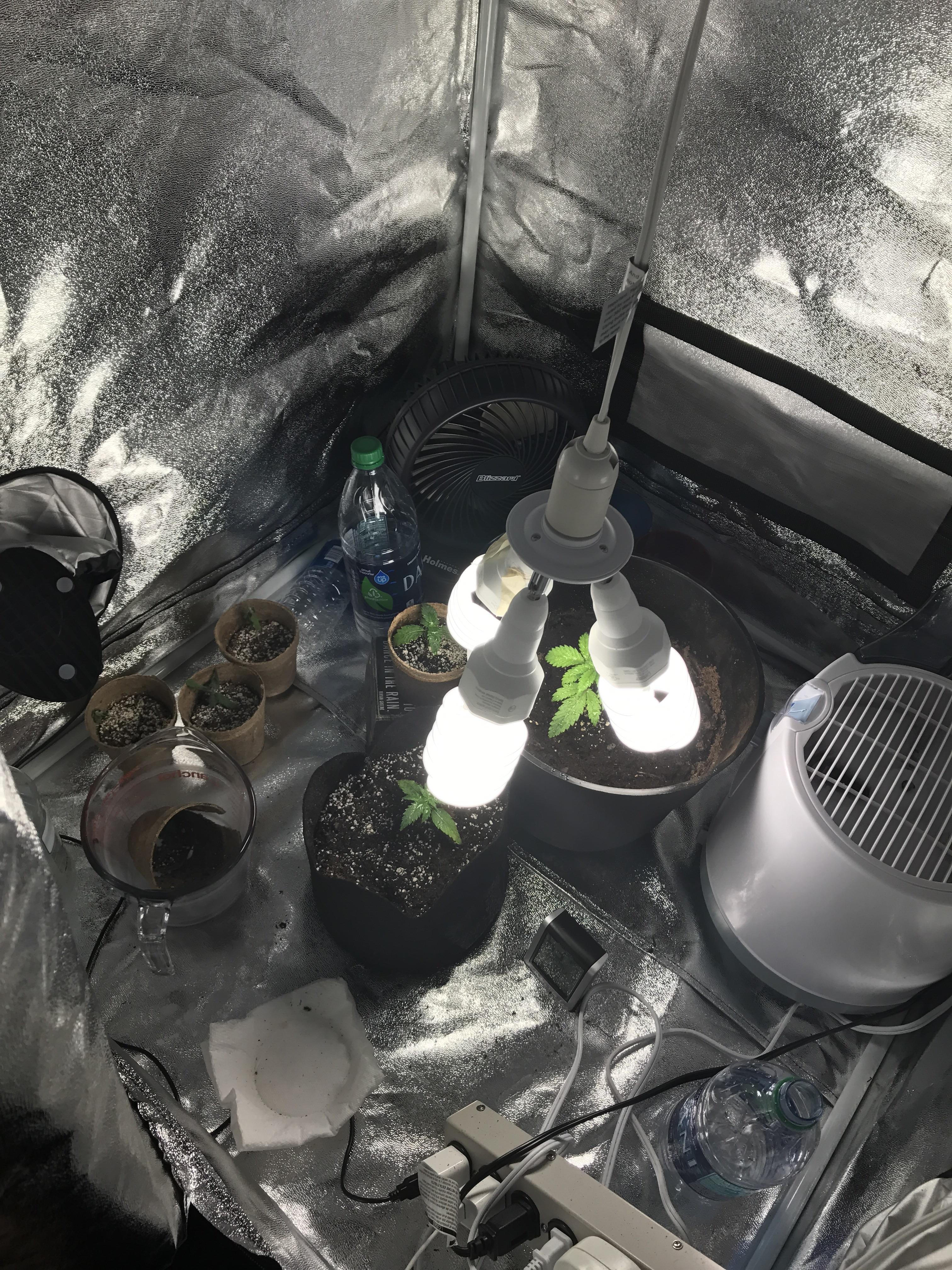 512 best Humidifier images on Pholder Microgrowery, Houseplants and