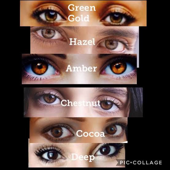 Light Brown Eye Color Chart