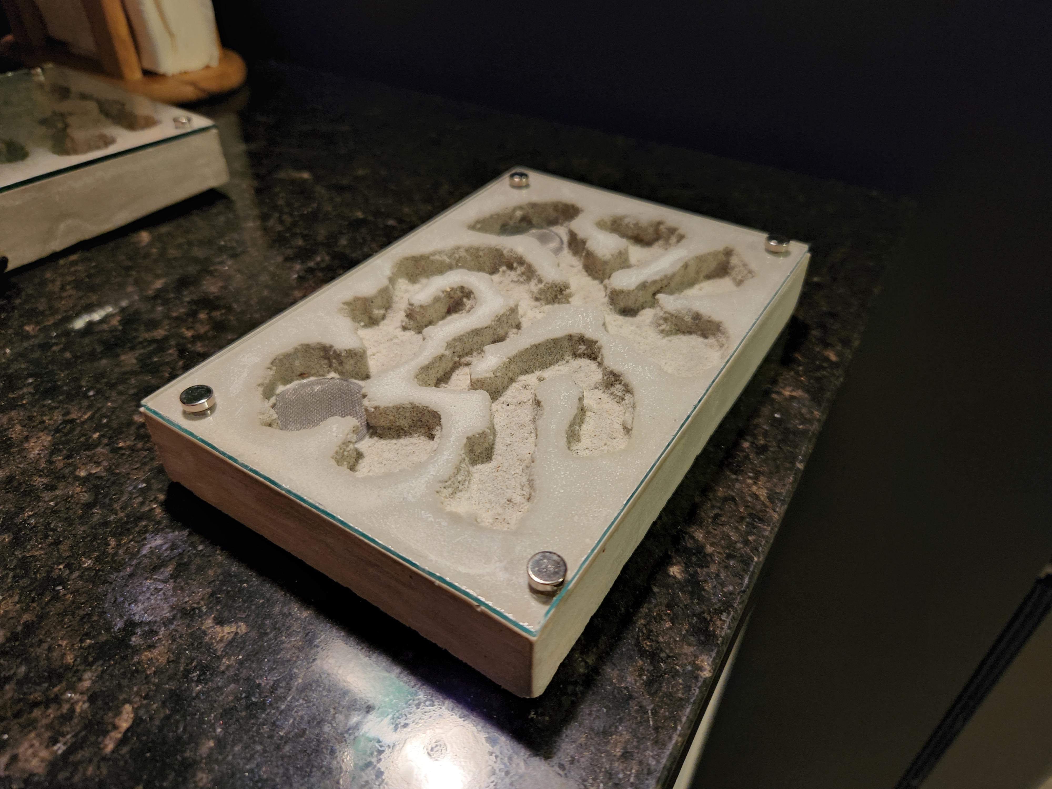 DIY nest I made from ultracal 30 : r/antkeeping