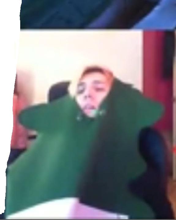 Old xQc in an air freshener costume emote r/xqcow