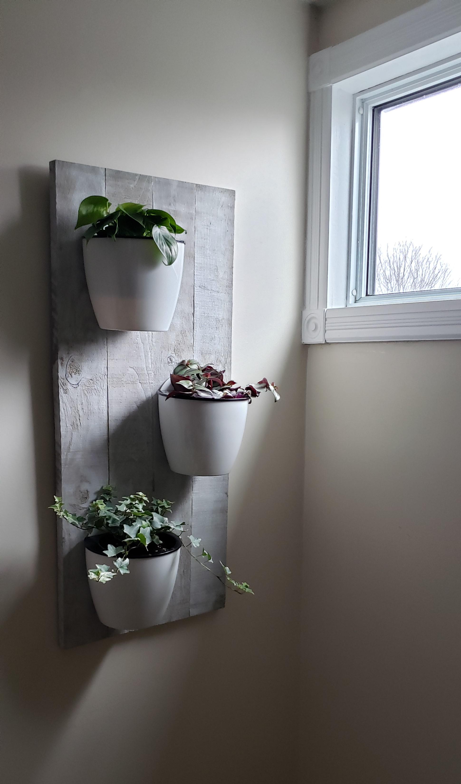 Build this wall planter for my lonely east facing window at the top of my stairs! Can't wait for
