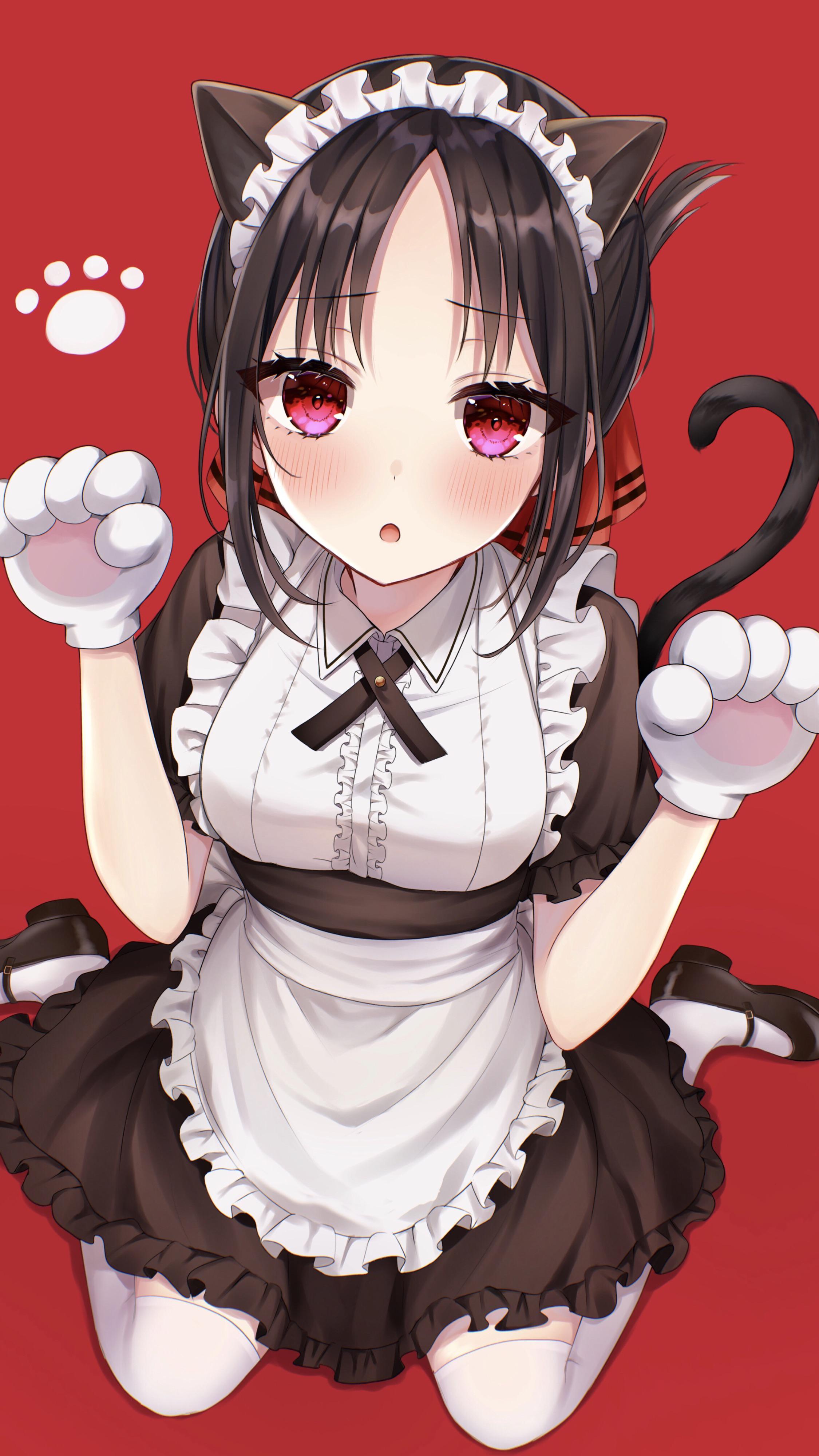"Neko Maid" Kaguya Shinomiya💖🐾[KaguyaSama Love is War] (2250x4000