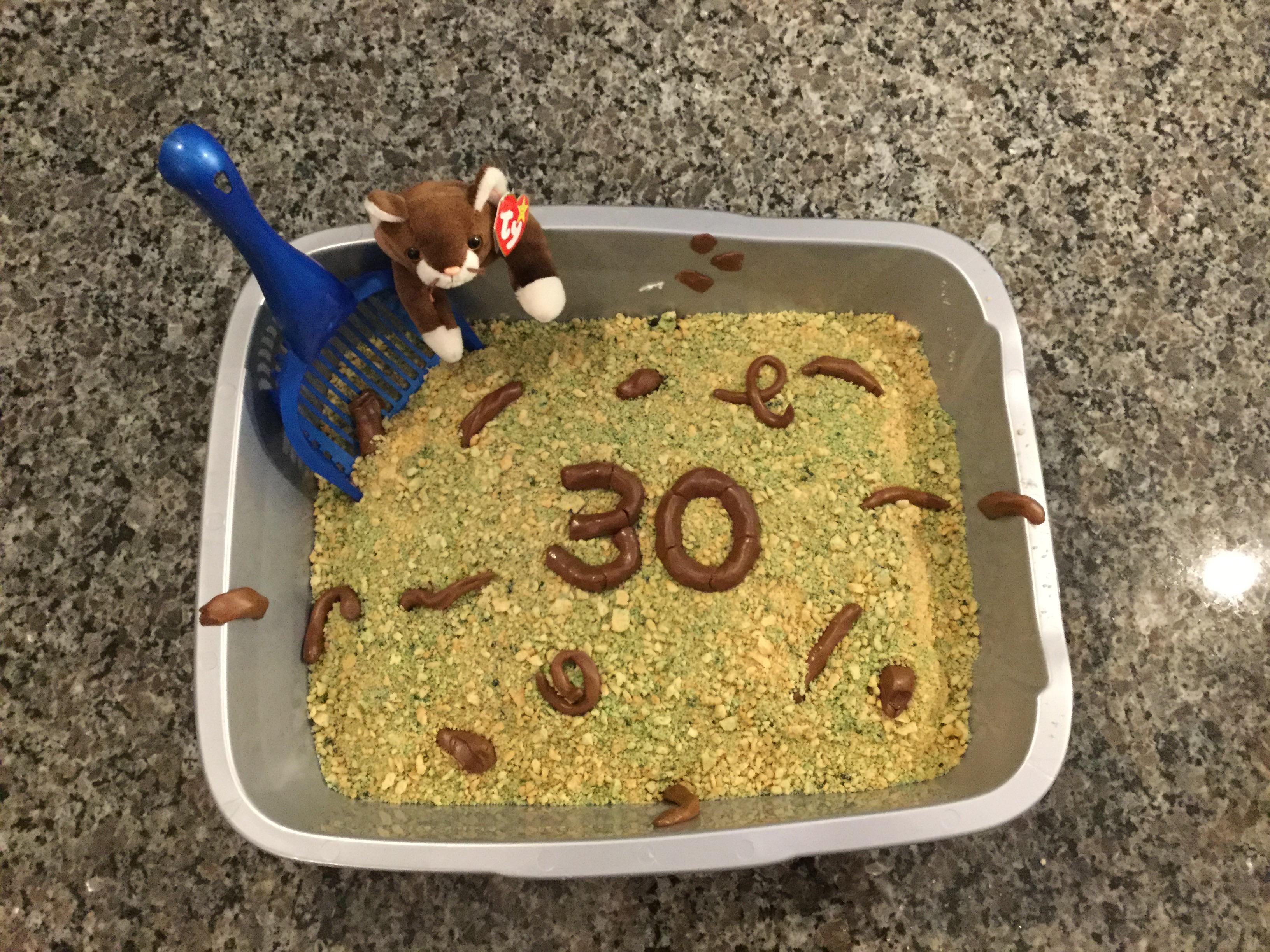 [homemade] Kitty litter cake! r/food