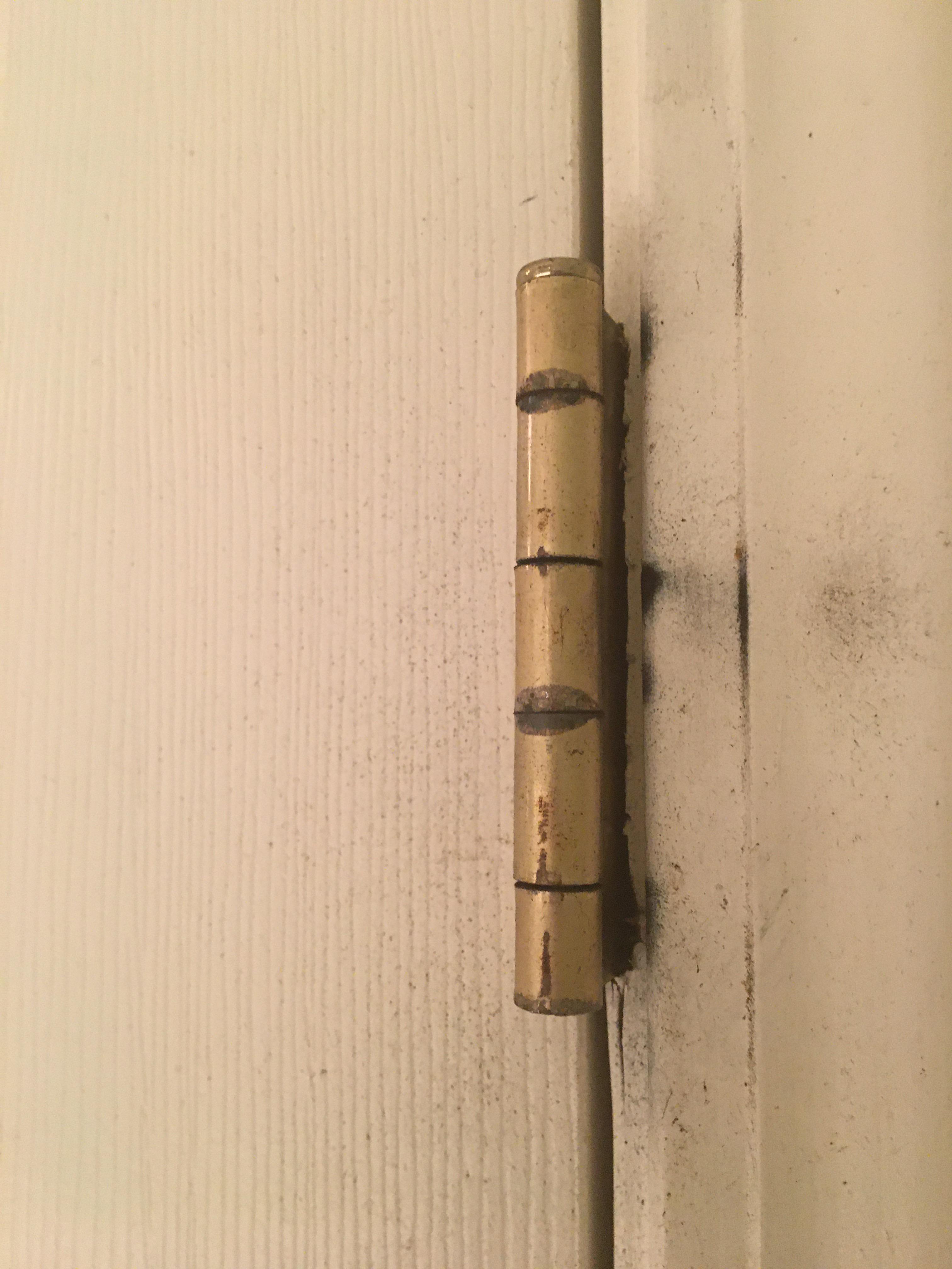 is this mold? on the door hinge of my bathroom. important to note that