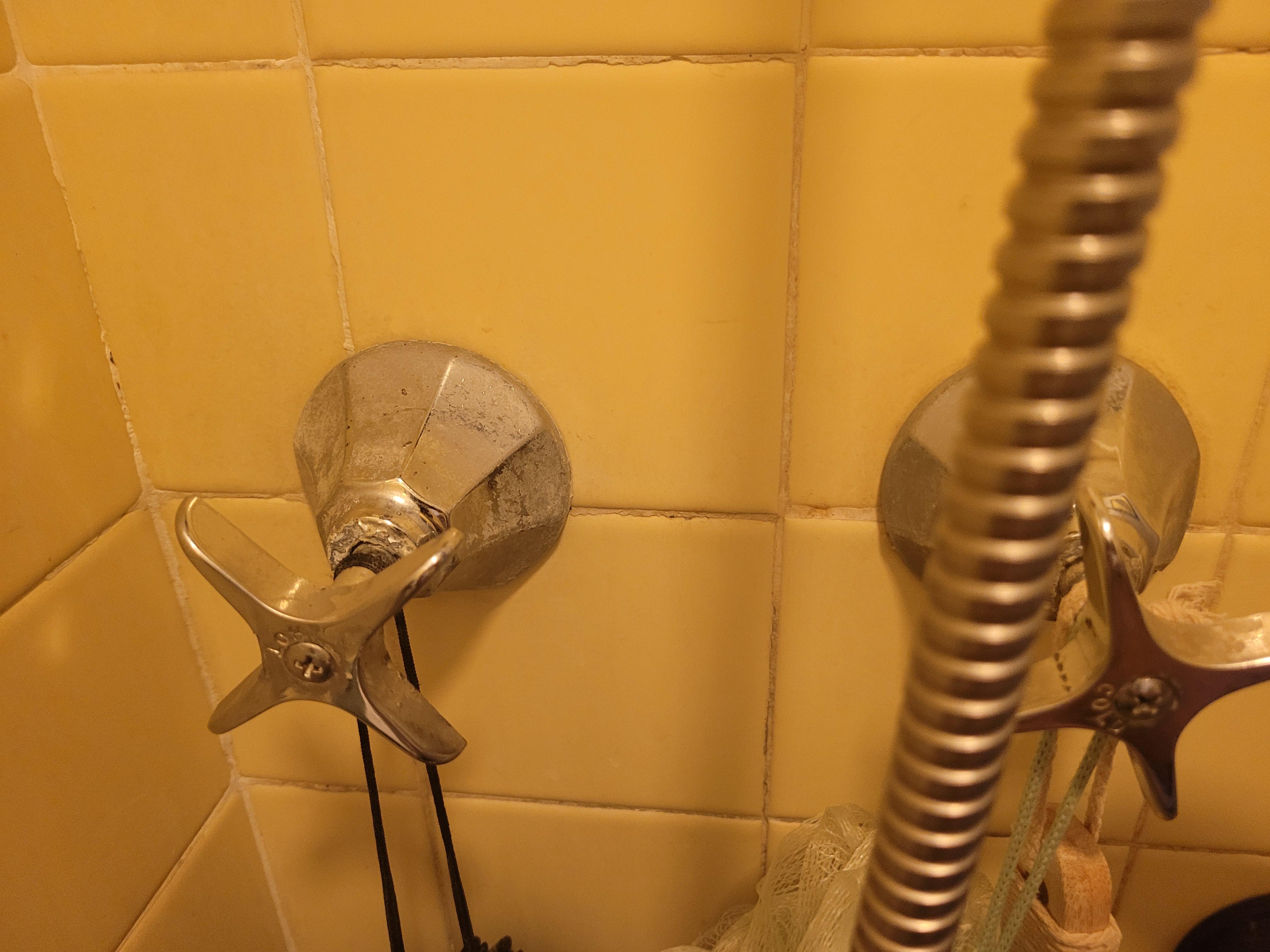 identification and replacement/repair options r/askaplumber