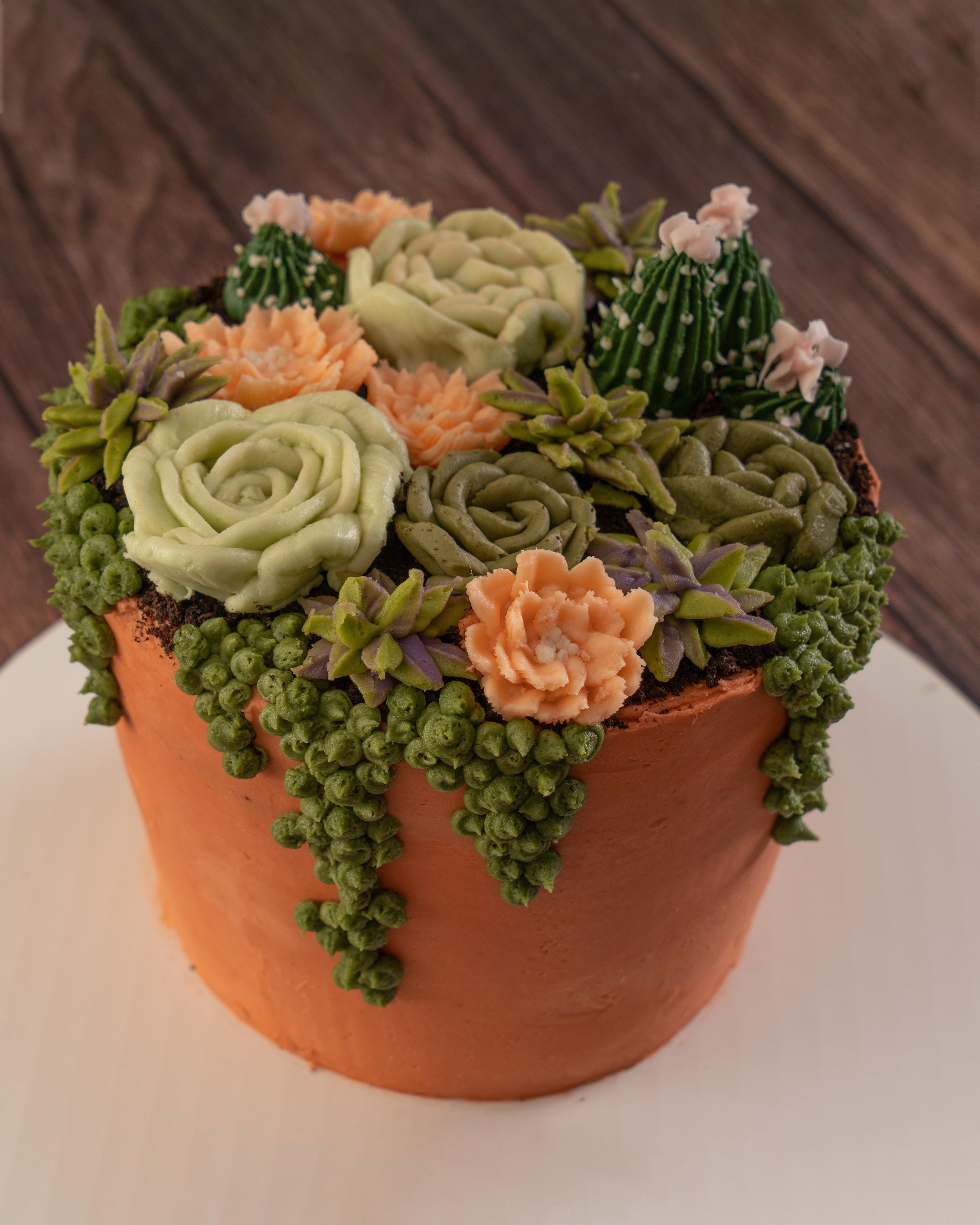 Succulent pot cake! Chocolate cake with lots of vanilla buttercream