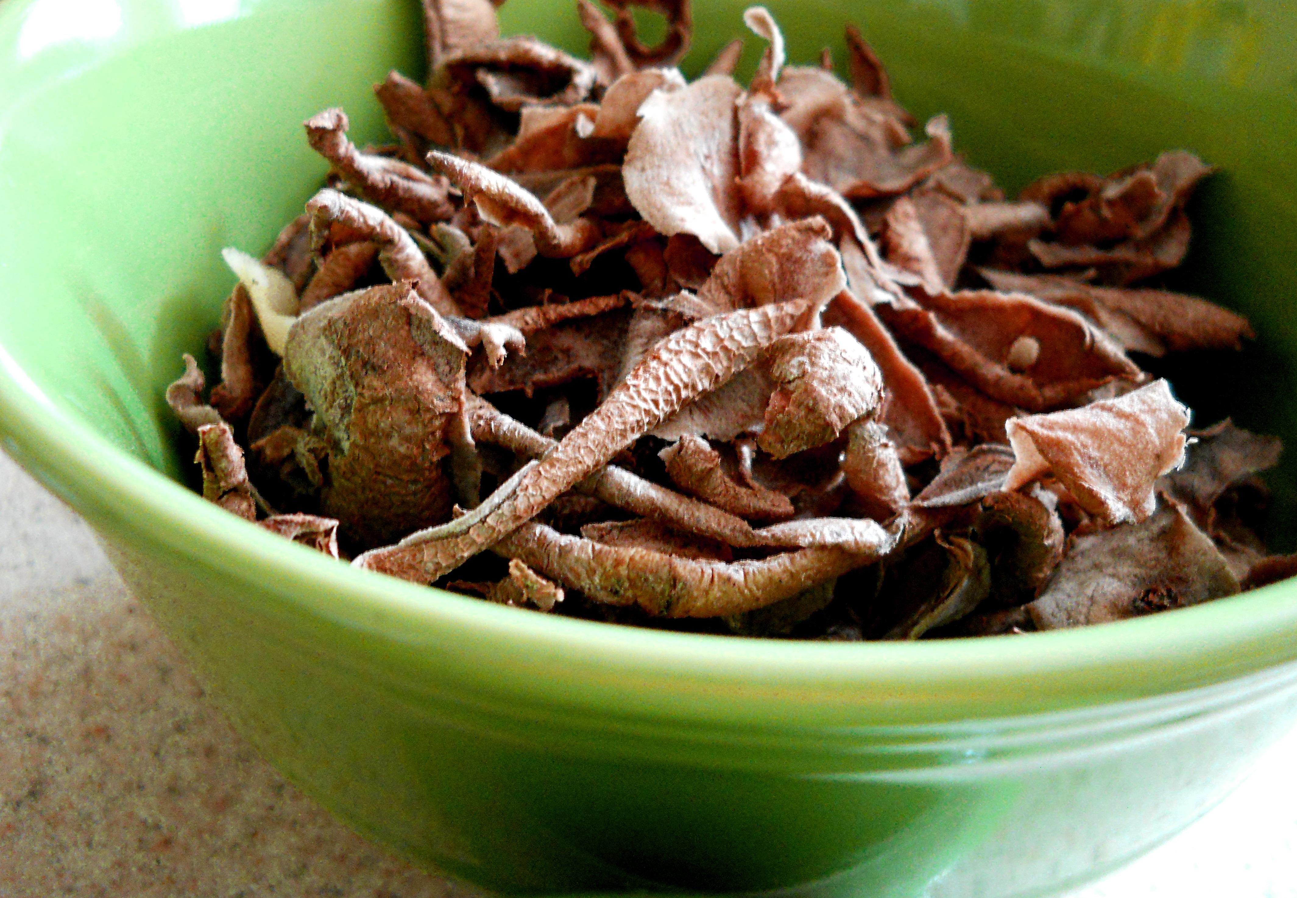 Bought some fancy dried wild mushrooms. What should I make with them