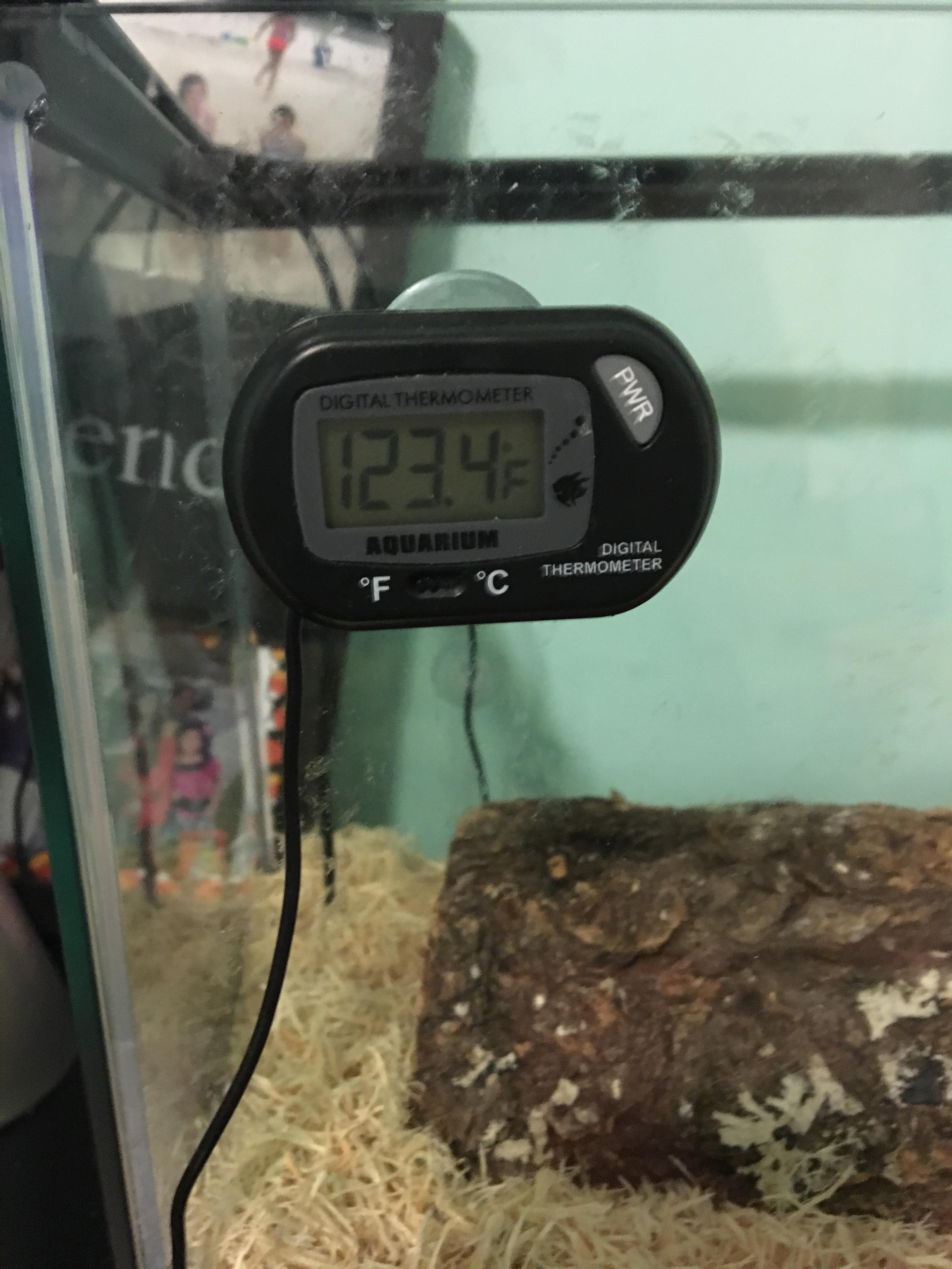 Came home to this. Time to throw away my zilla thermostats. The glass