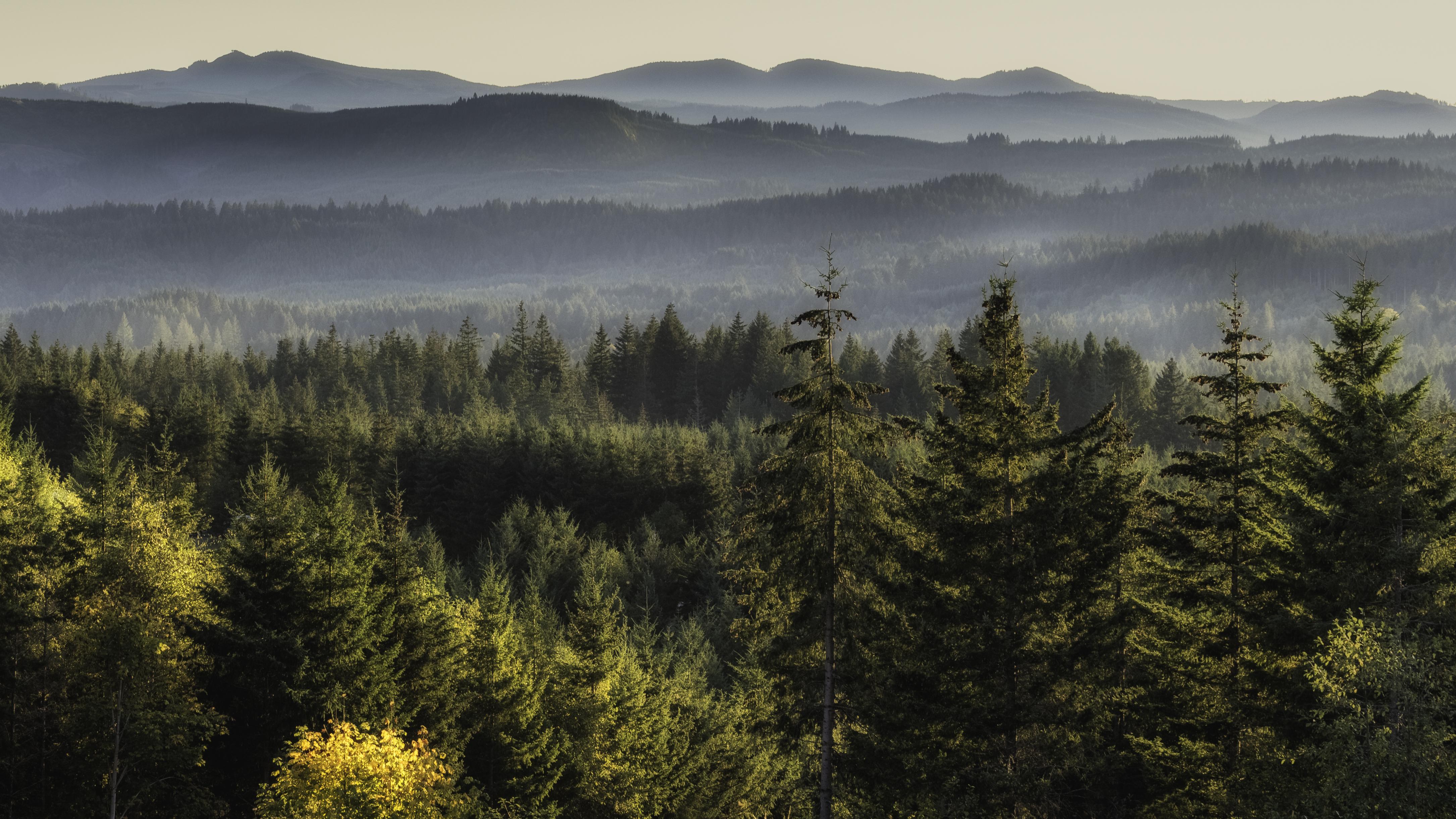 Oregon Coast Range [4340x2441] Nature/Landscape Pictures