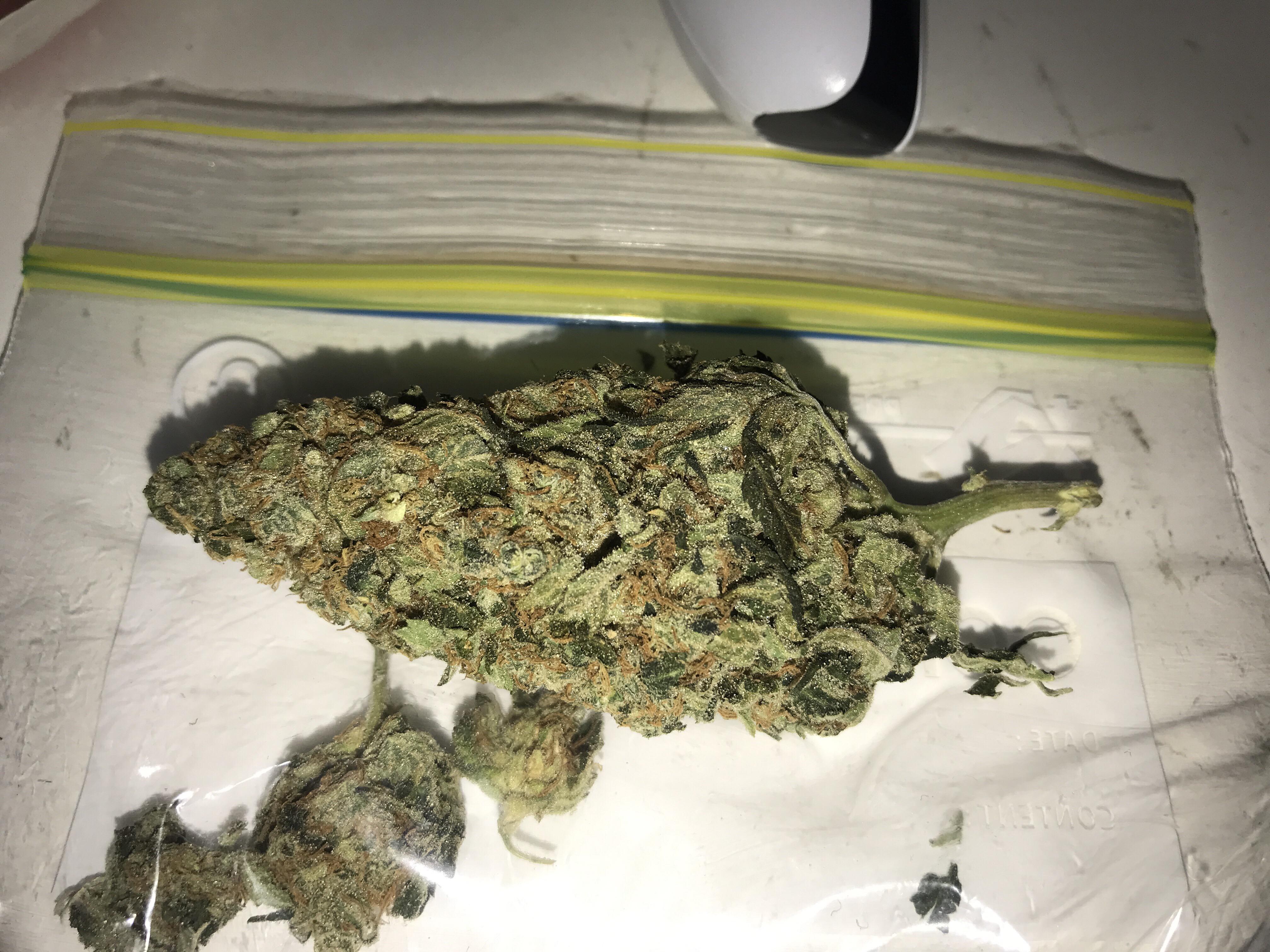🫐 Blue Dream 🫐 r/Melb42ogreen