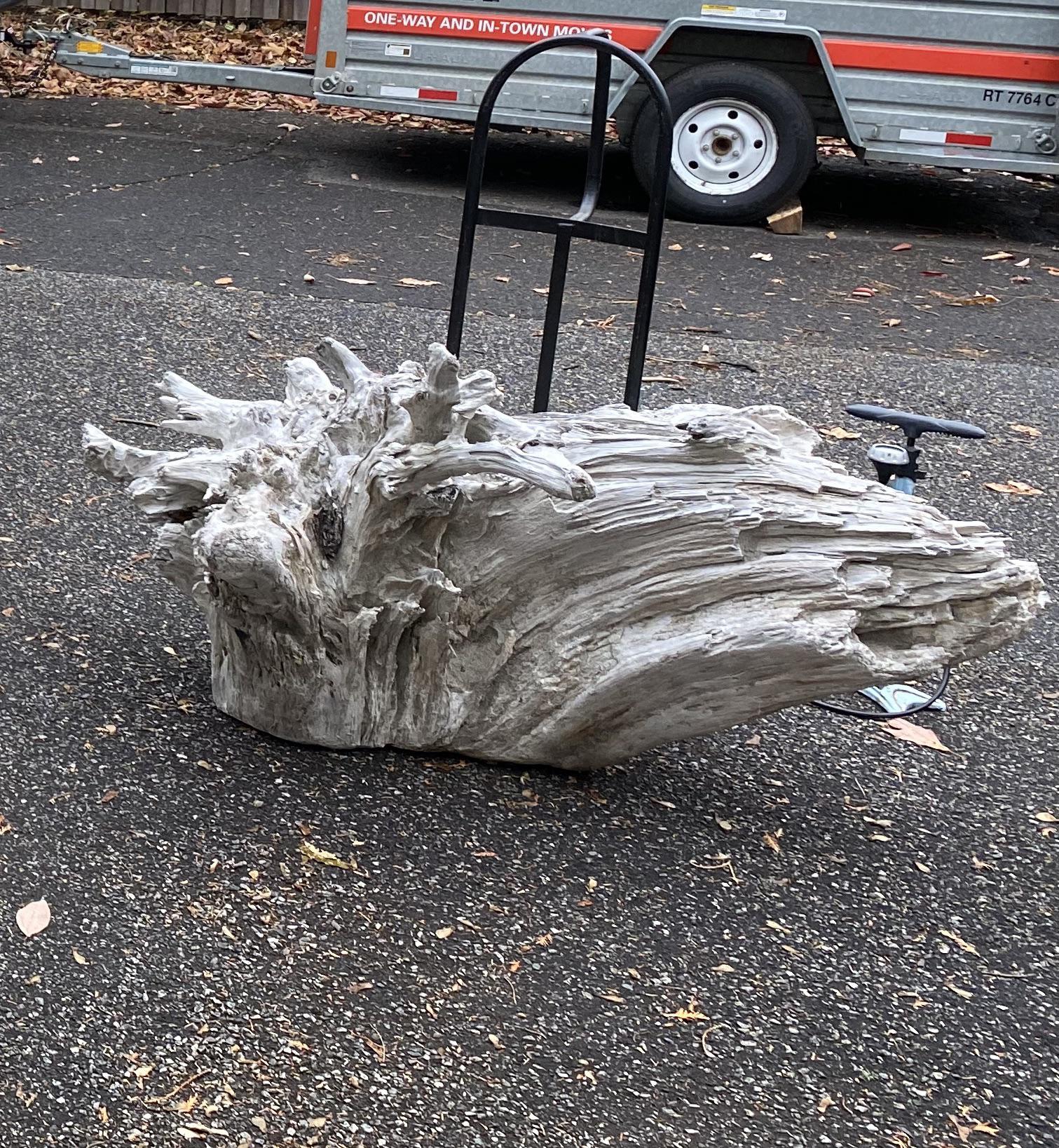 Brought back this sweet piece of driftwood from the beach. I’m in NJ and a few people have