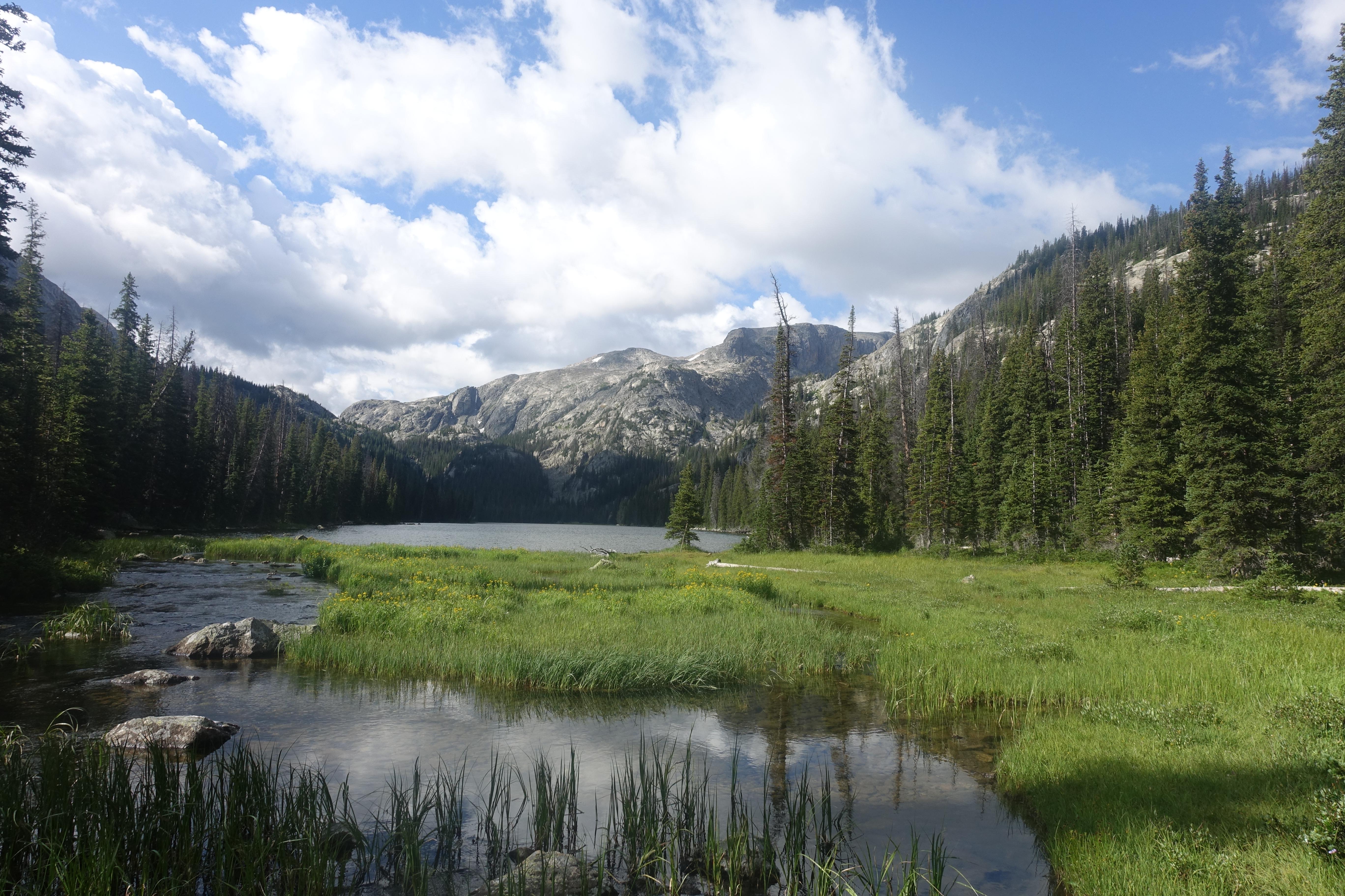 Summer greenery in the Bighorn Mountains, WY [5472 x 3648] [OC] r