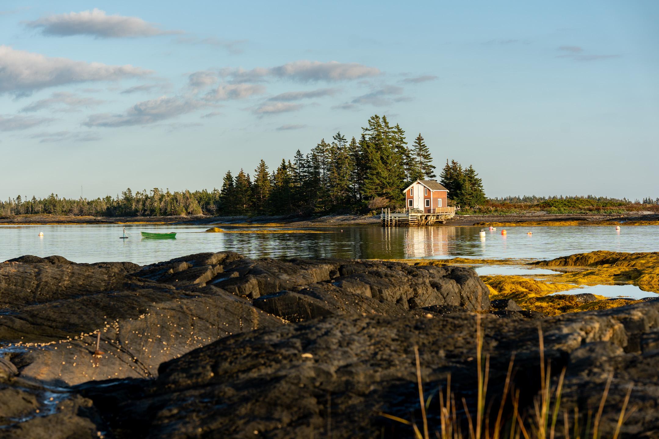 Snails all over the shore in Blue Rocks, NS A7C Sigma 85 DG DN r