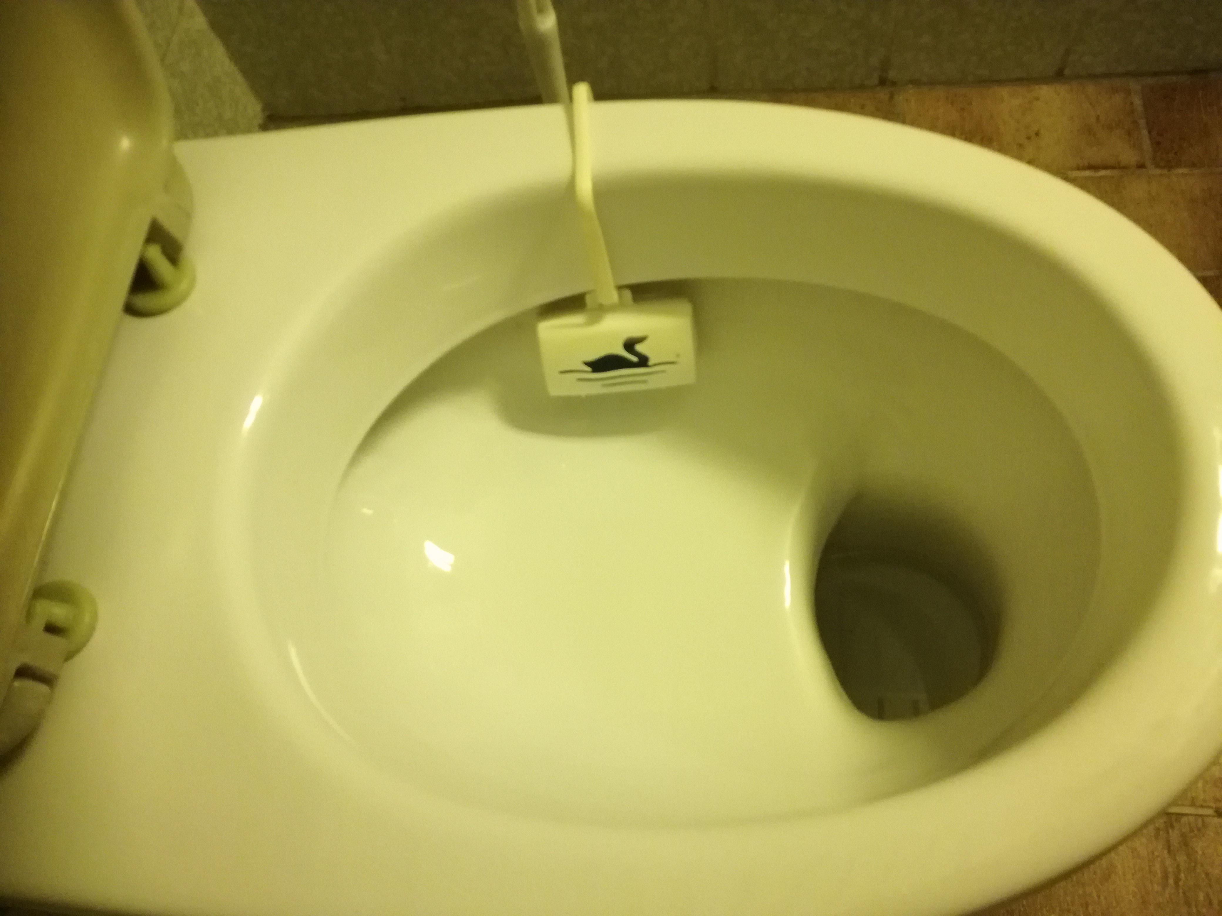 The toilet in my hotel room has a little poopshelf... just in case, I