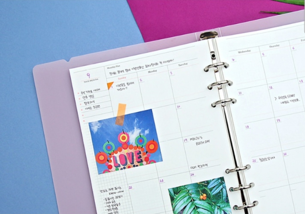 For 2021, I'm going to use a 6 ring binder as my planner♡ r