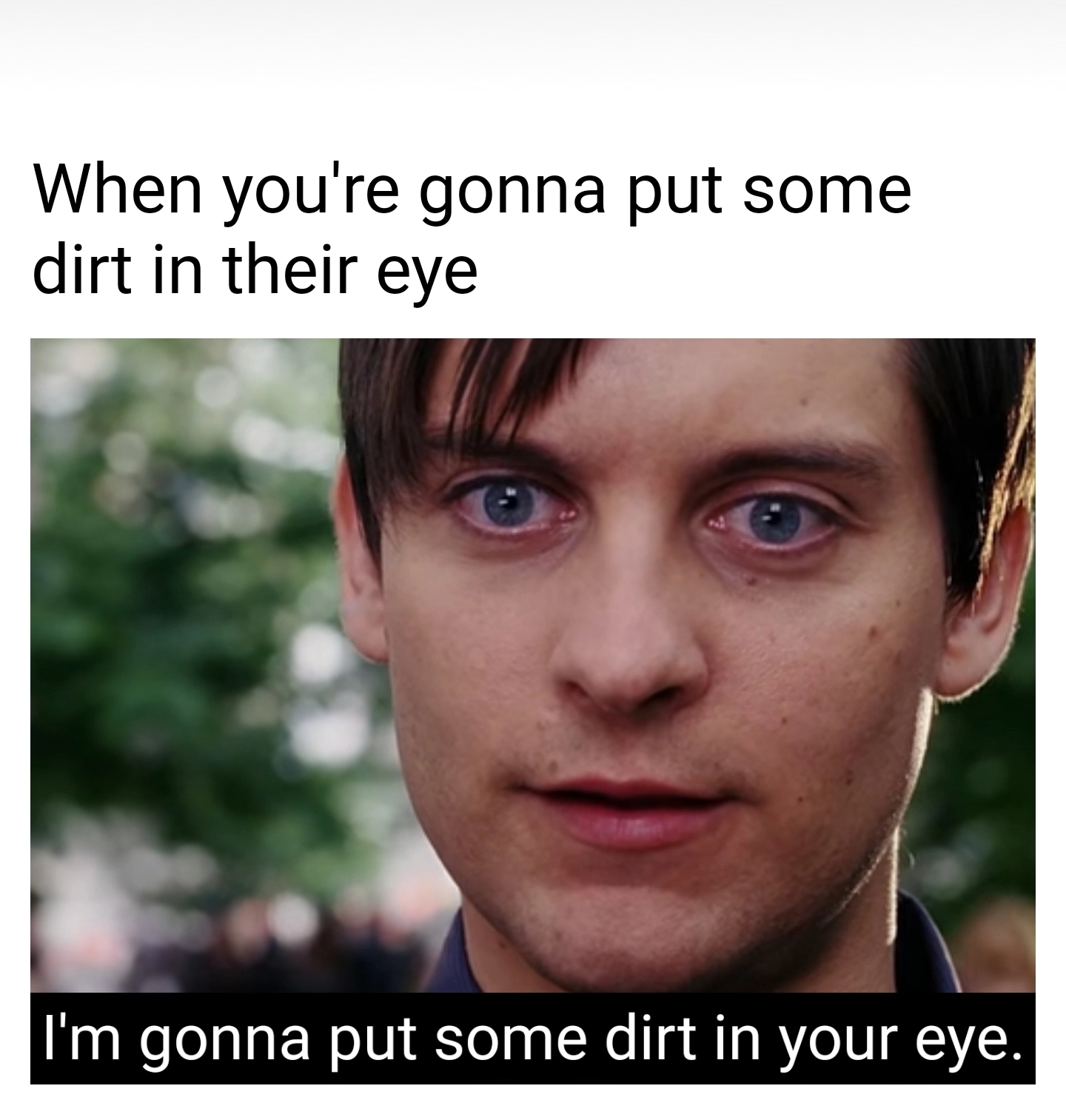 Spiderman gonna put dirt in your eye r/antimeme