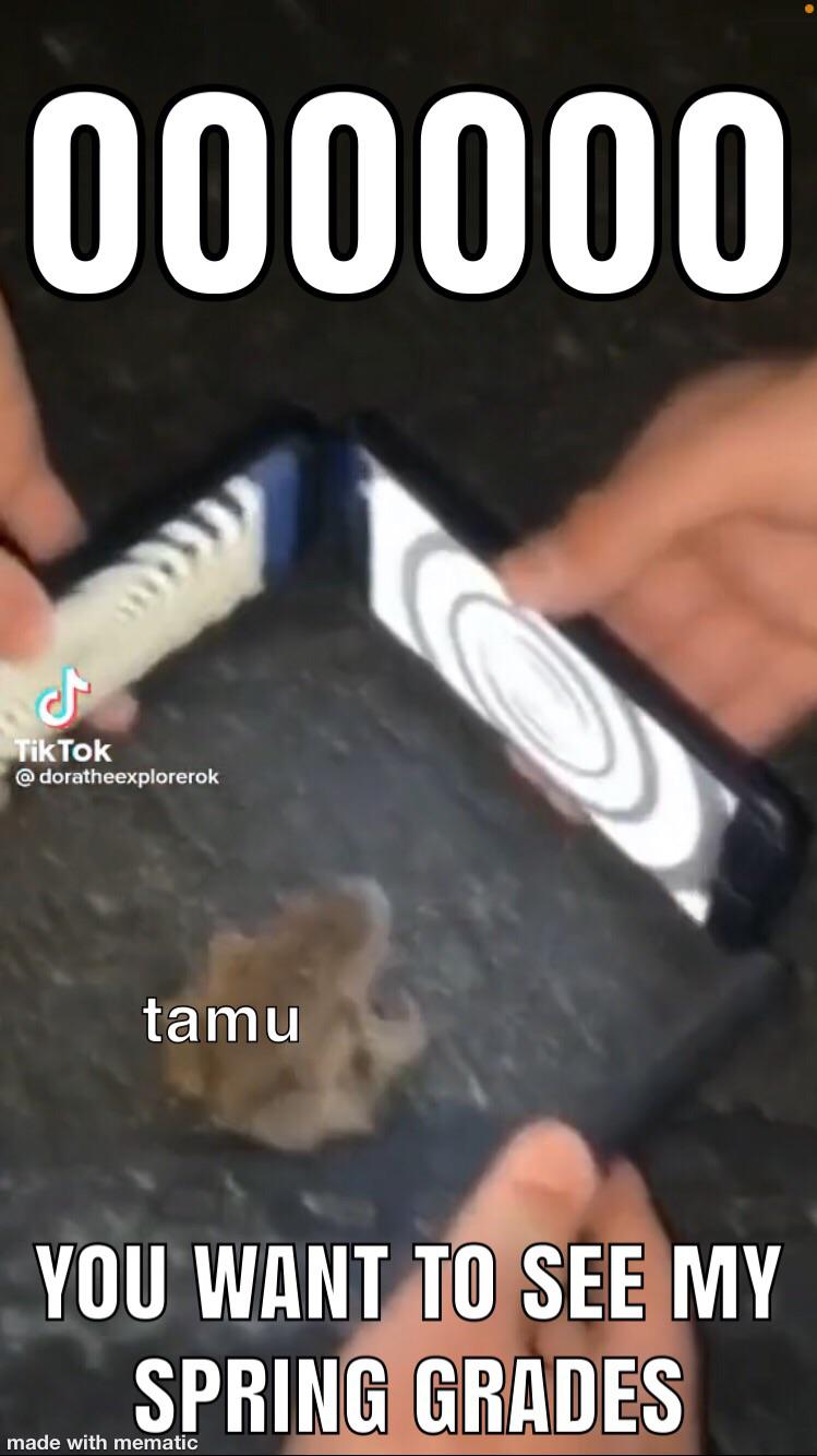 Cornell Spring 2023 Transfer