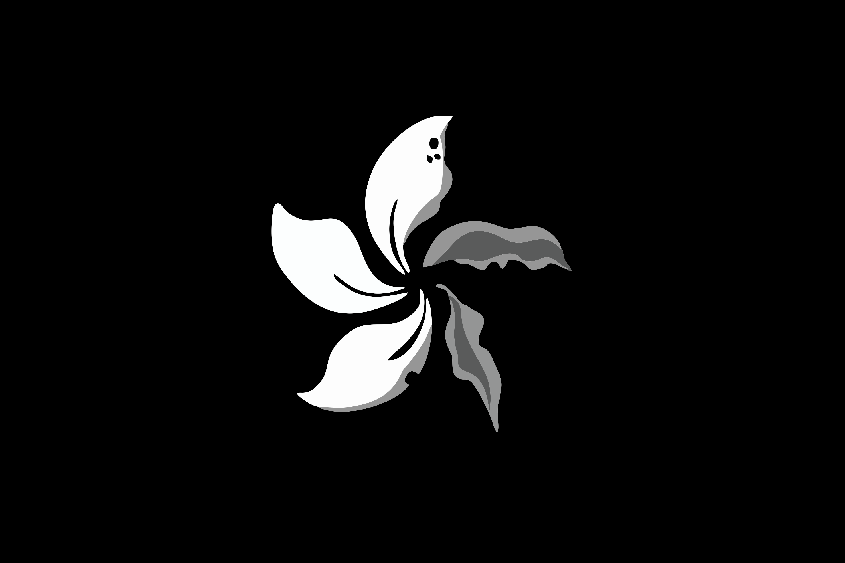 High Quality version of Black Bauhinia Flag HongKong