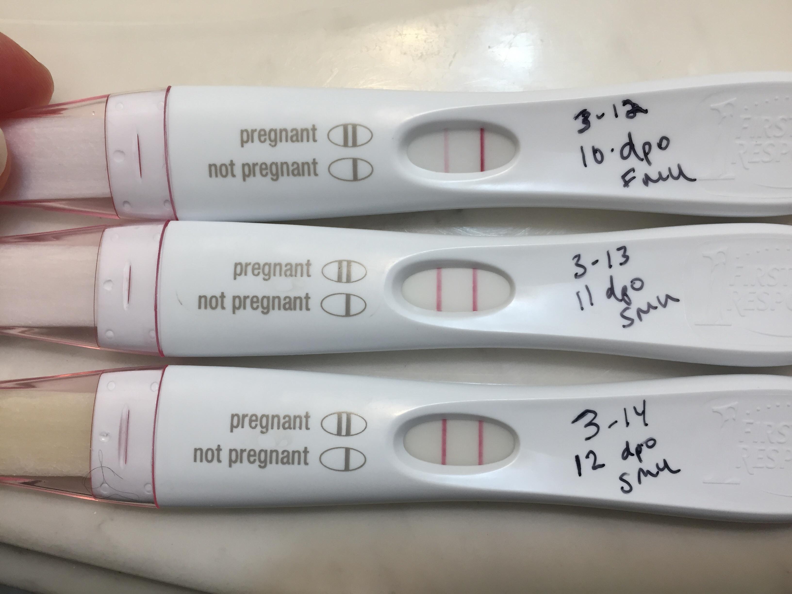1012 dpo FRER slight dye stealer? Seems high this early. Beta