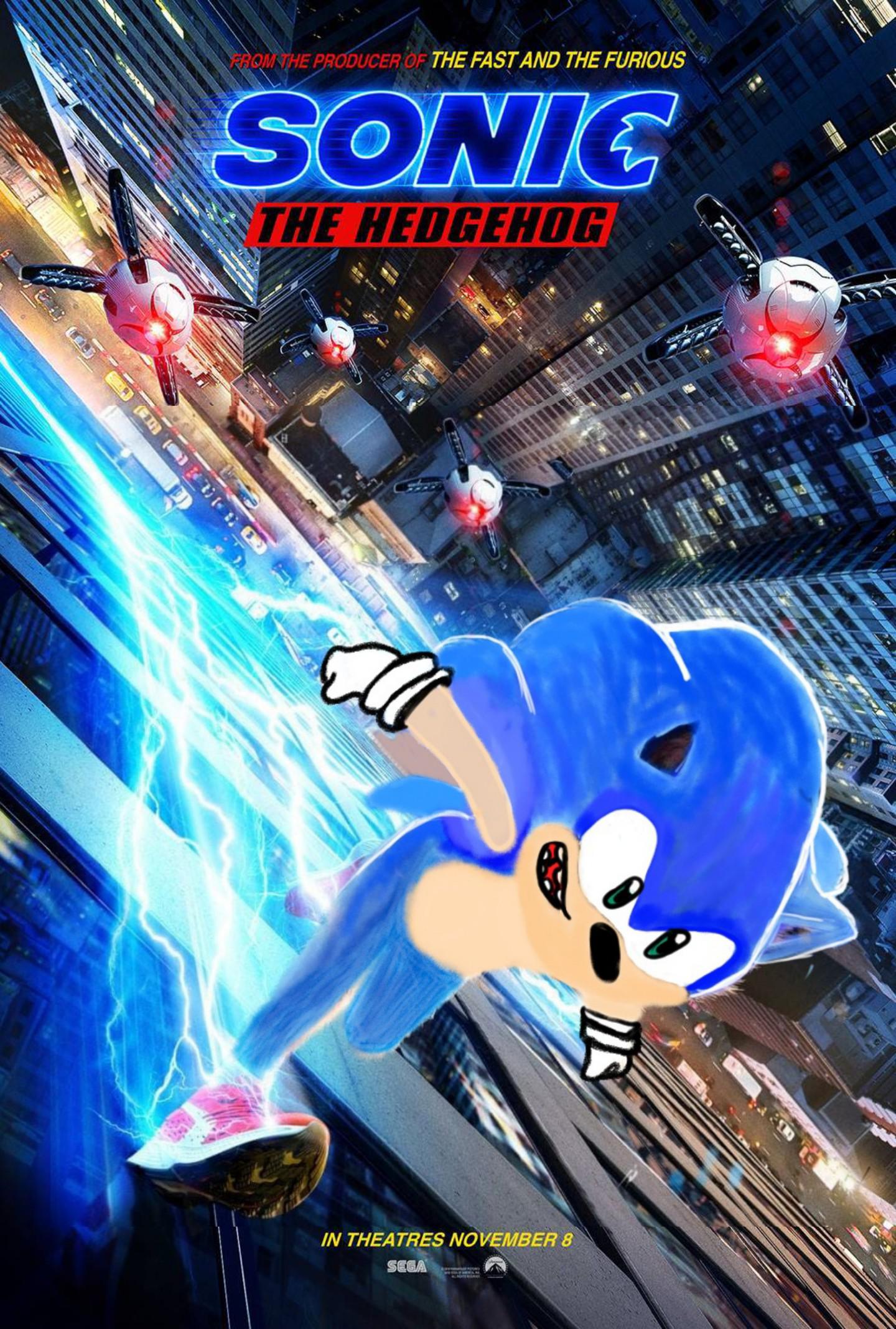 overview for ASonicFan