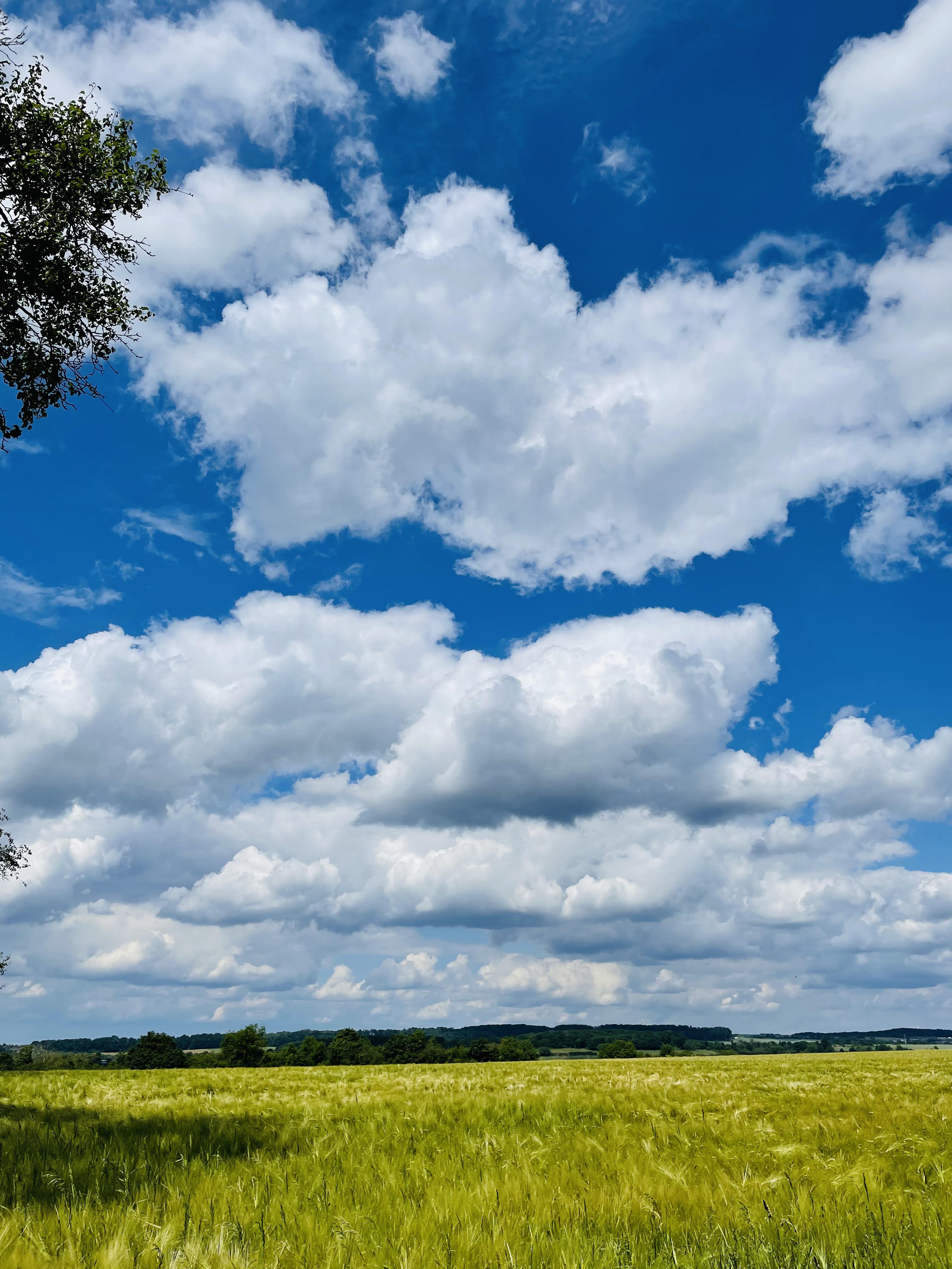 The sky would be boring without clouds CLOUDS