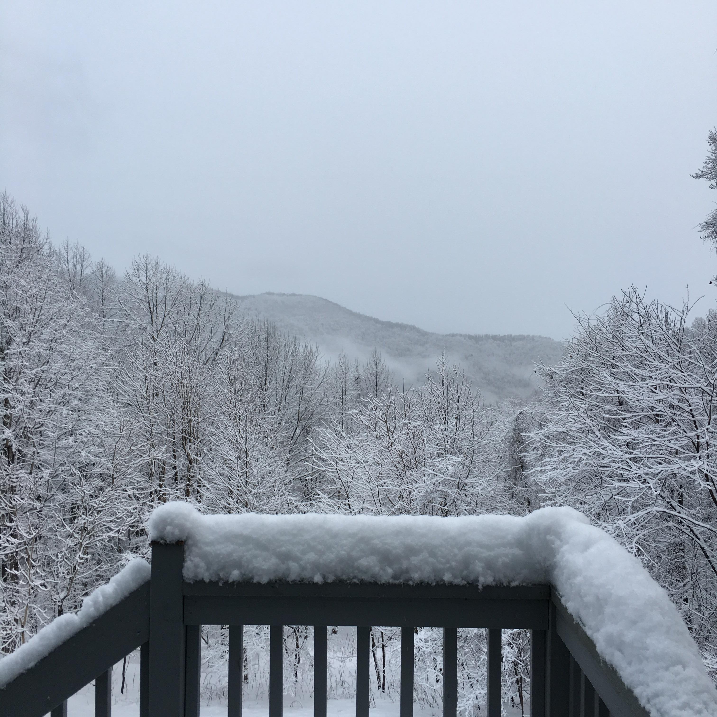 Walloped by snow in Western North Carolina [OC] [2448x2448] r/EarthPorn