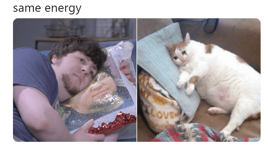 Jon should add his face pillow to his merch store r/JonTron