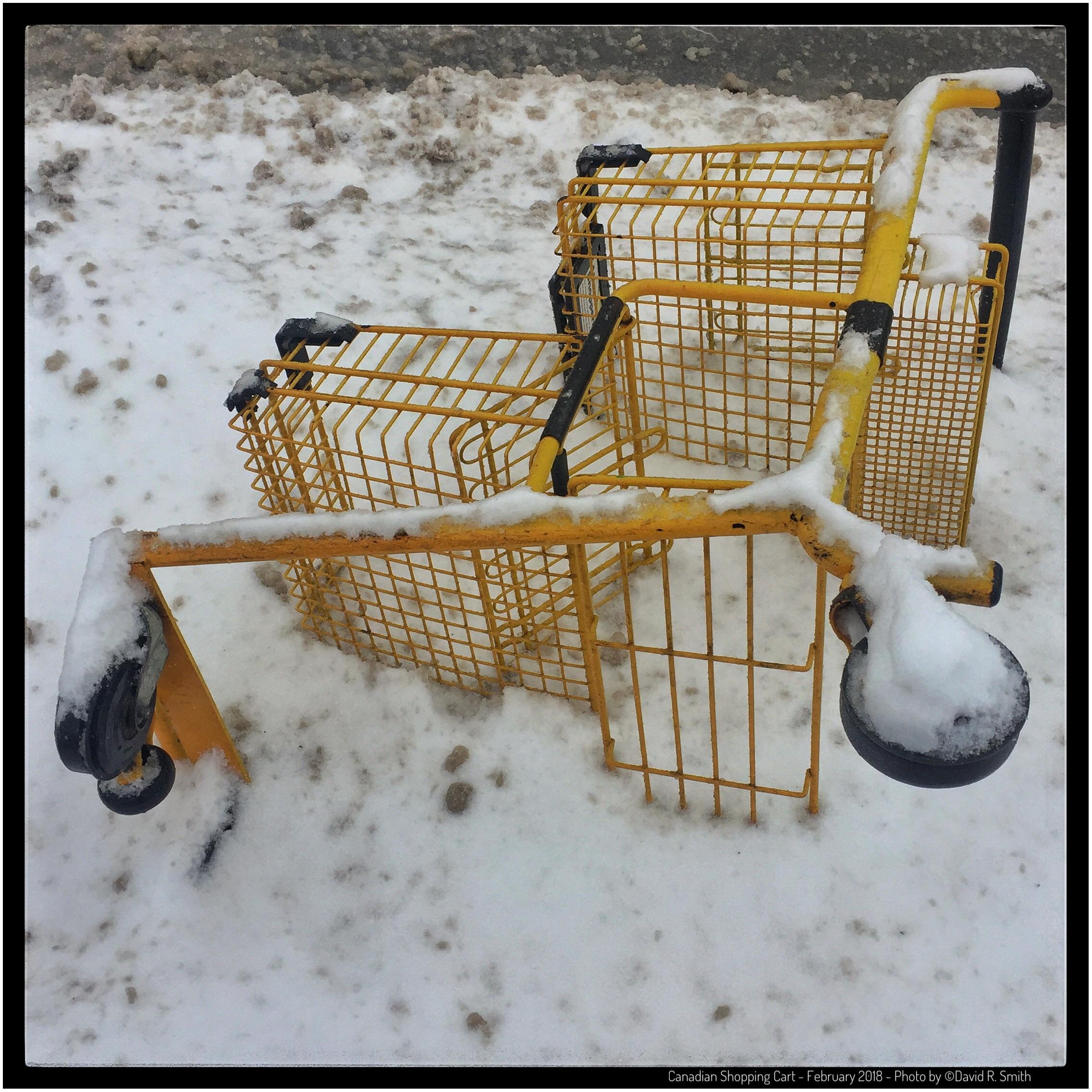Canadian Shopping Cart Daily photo by David R. Smith [OV] winterporn
