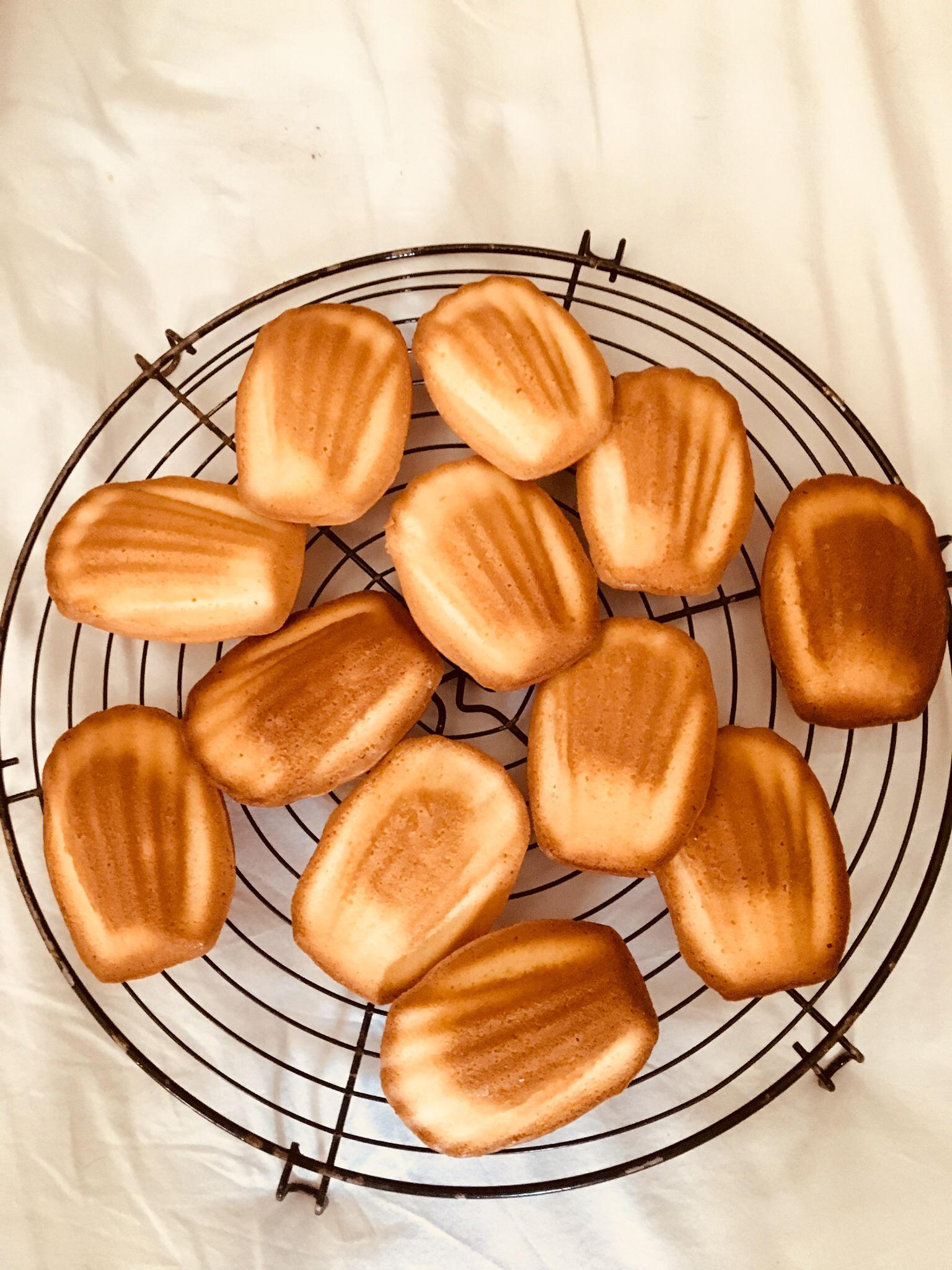 [Homemade] lemon flavoured madeleines r/food