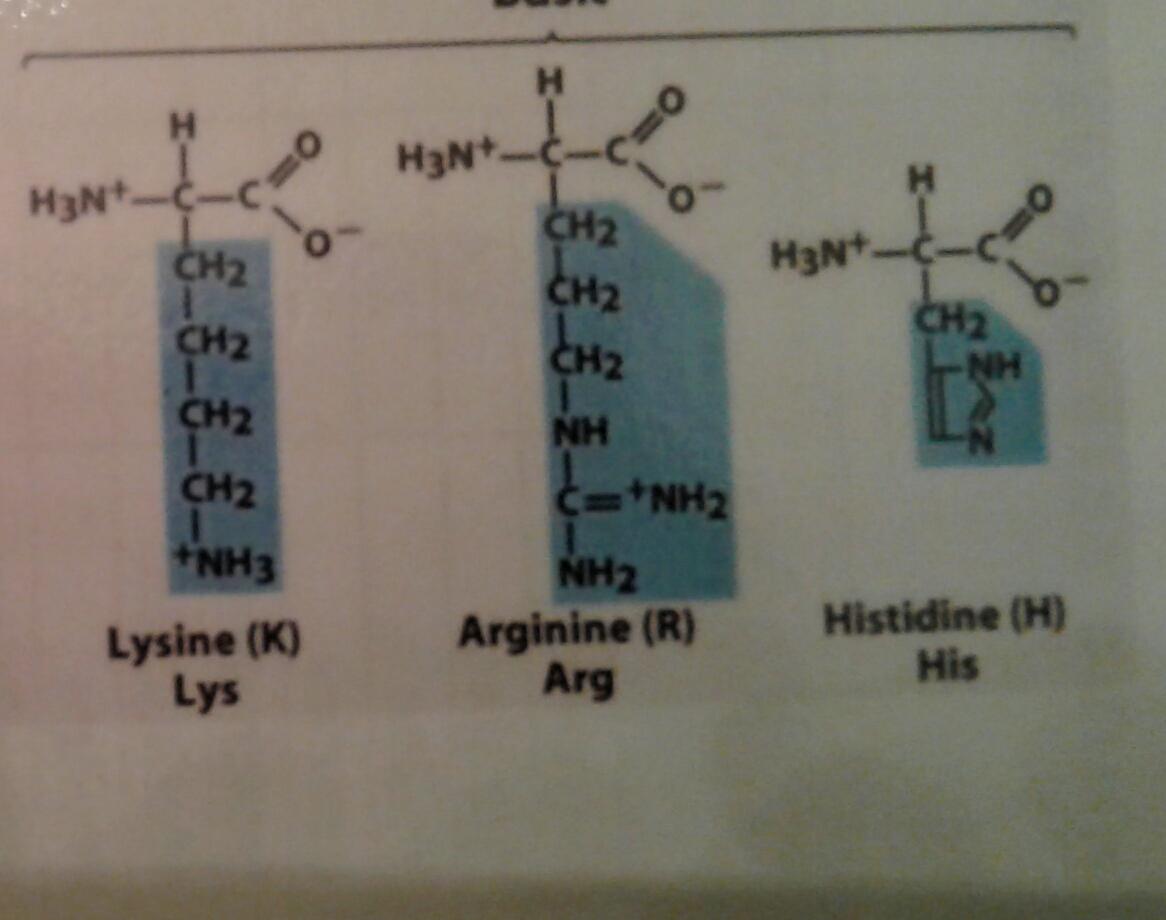 Lysine, Arginine, Histidine Are the side chains Protonated or