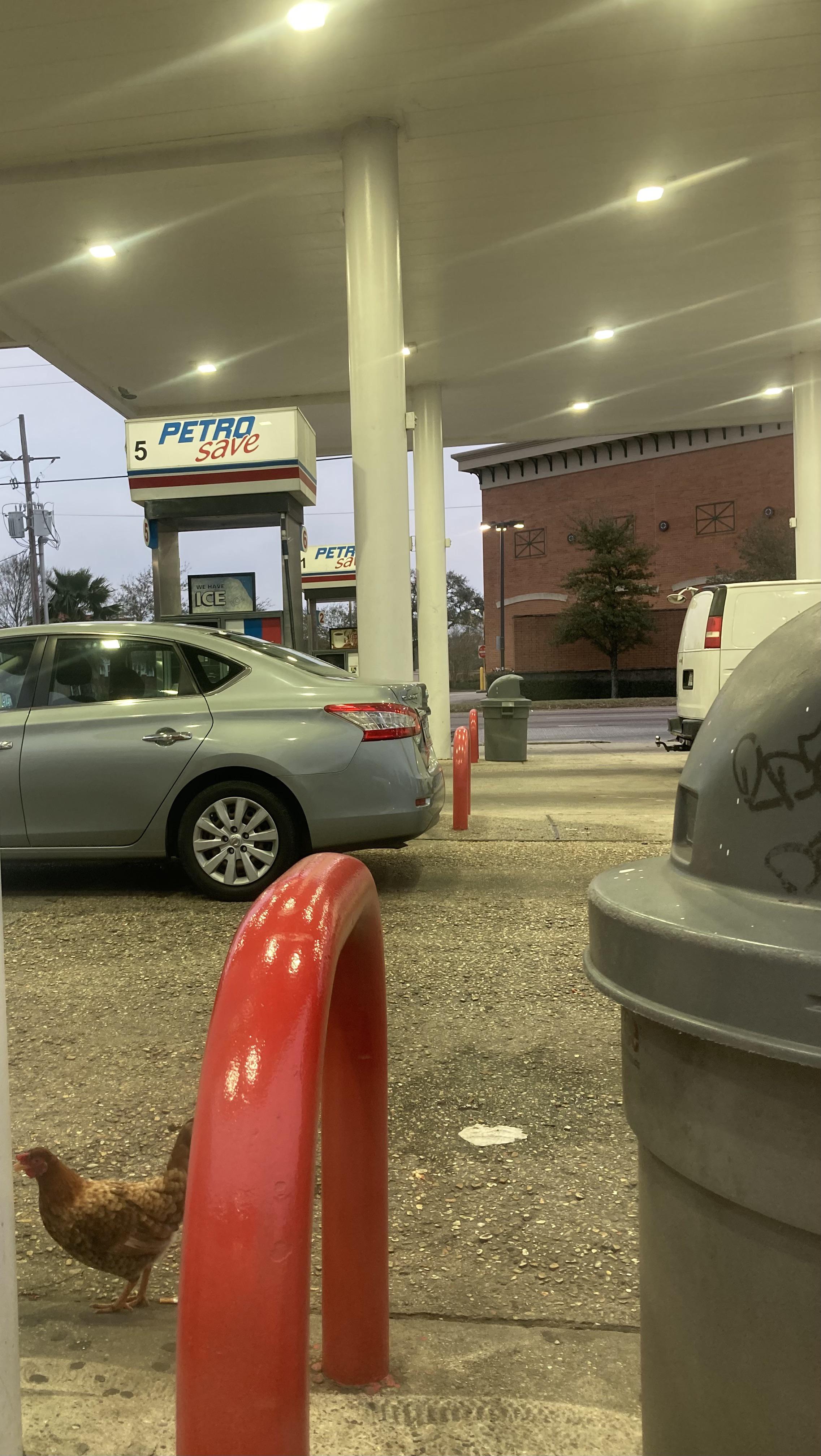 Fresh Gas Station Chicken! r/NewOrleans