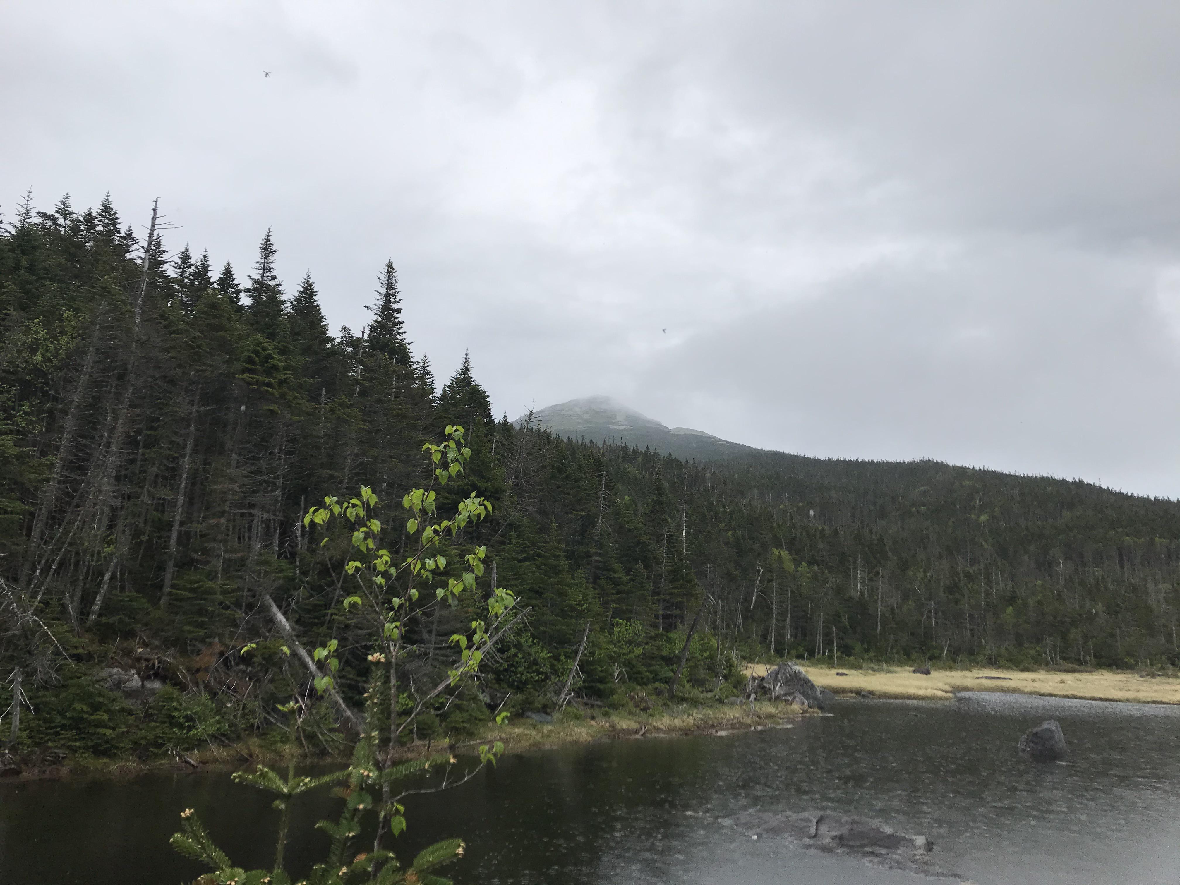 Big Moose Lake Adirondacks