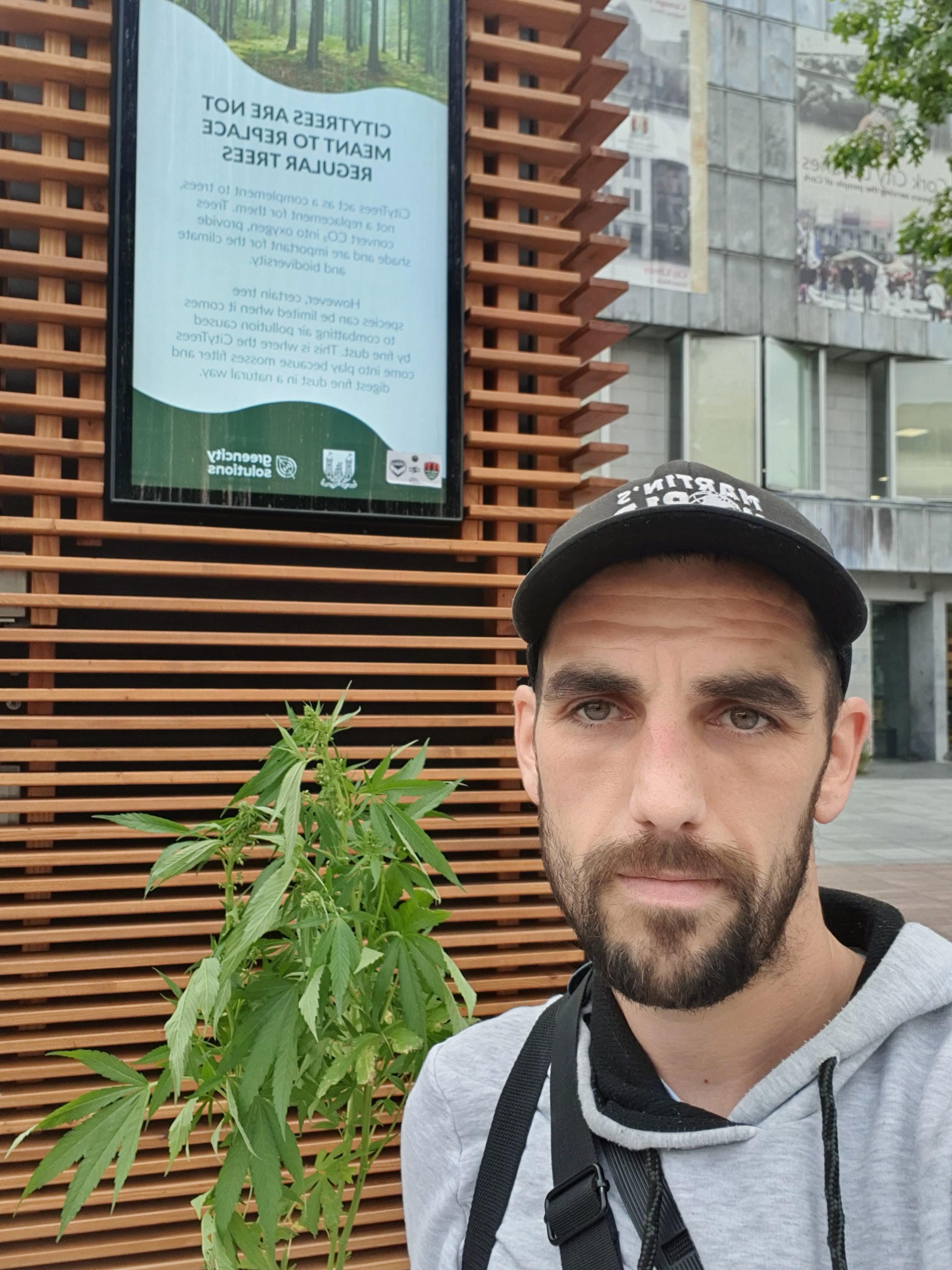 Cork city just got a new tree added to its "city trees" . One hectare