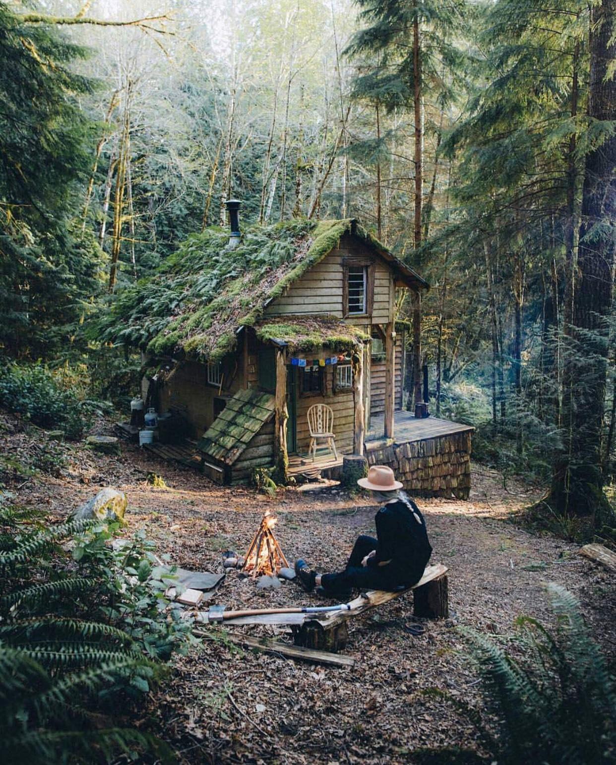 This cozy cottage surrounded by woods. r/MostBeautiful