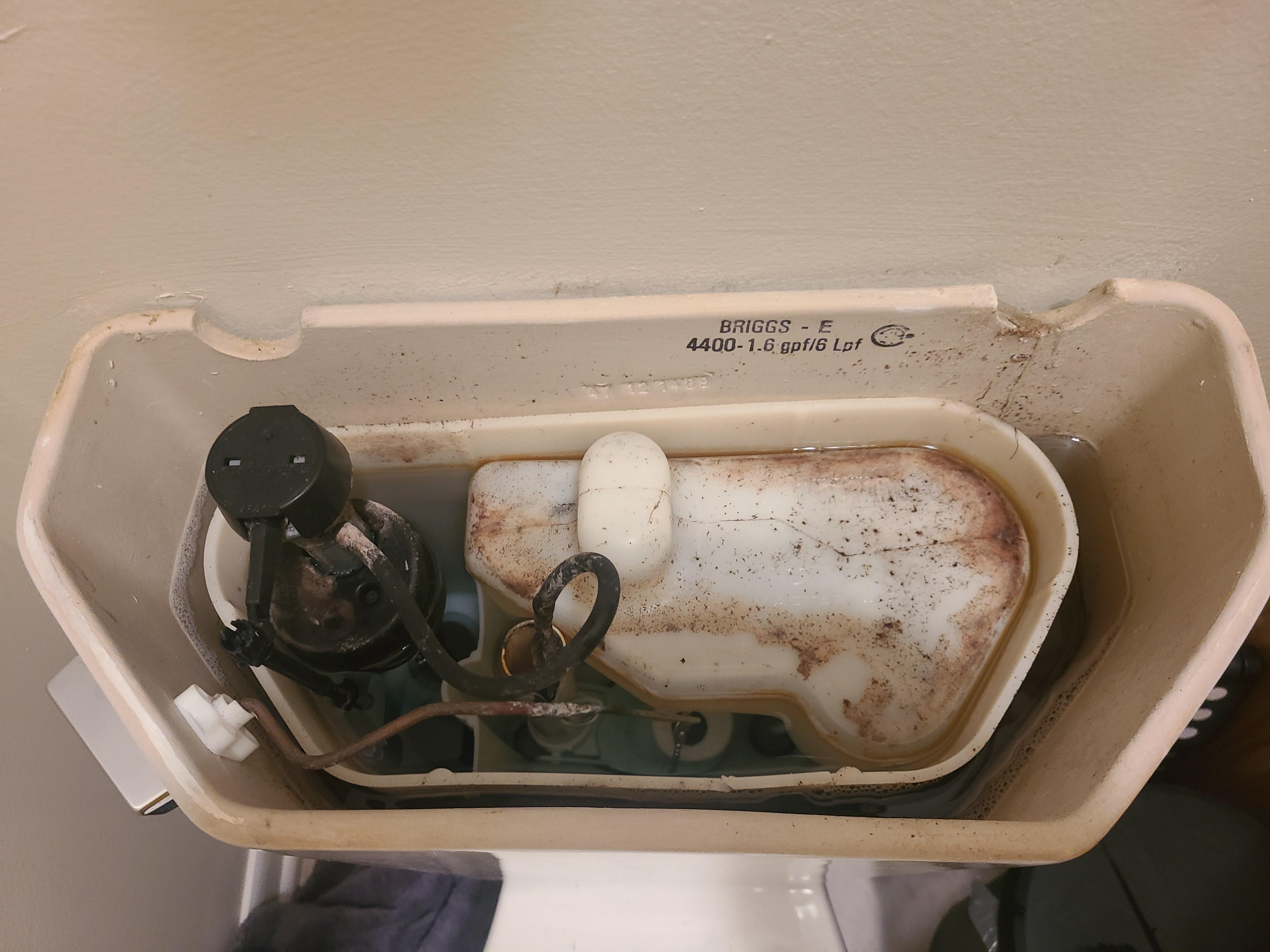 Dirty water surrounding smaller plastic tank in toilet tank, any ideas