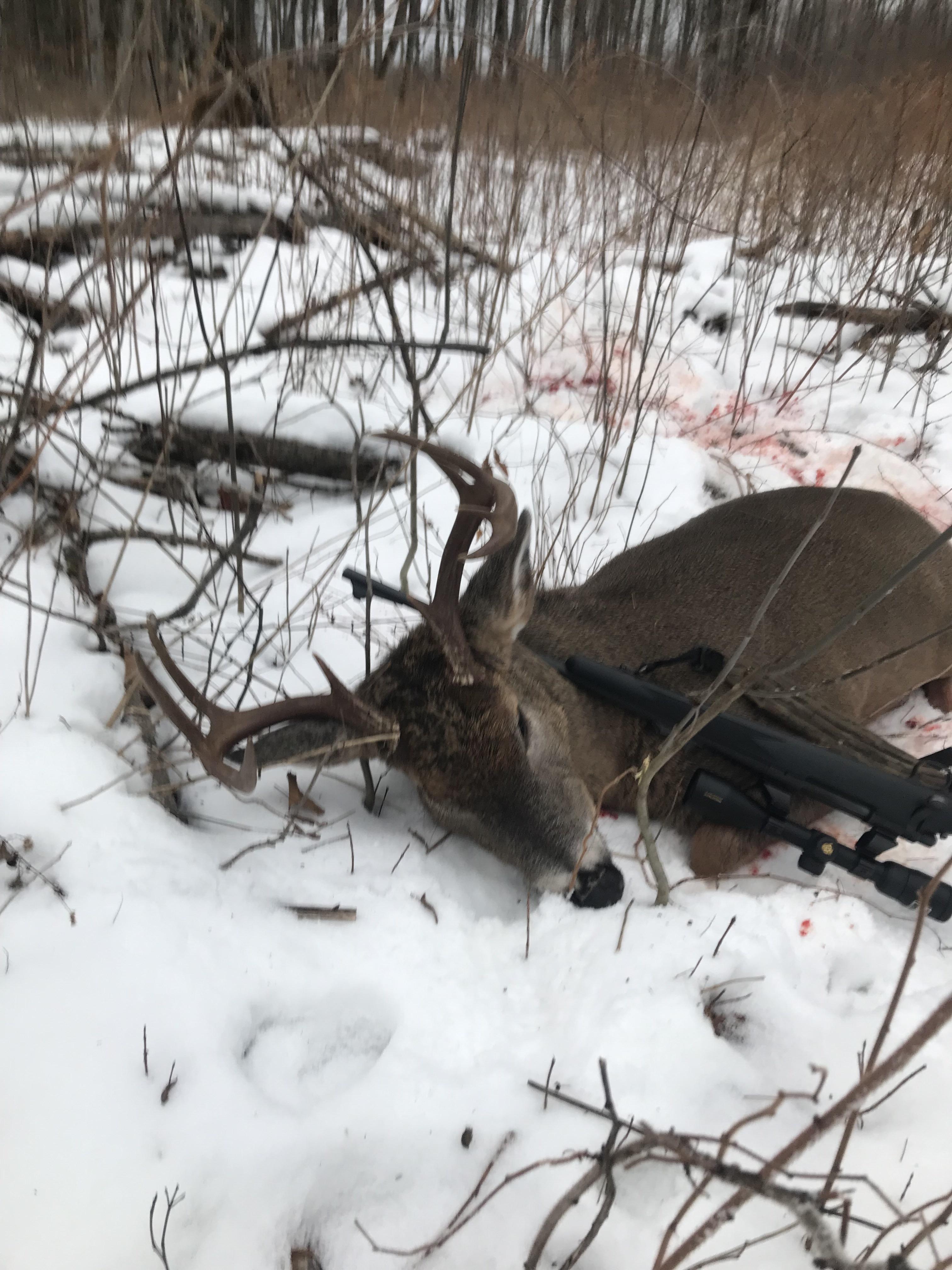 Shot yesterday by my dad, in Michigan’s eastern Upper Peninsula. He’d